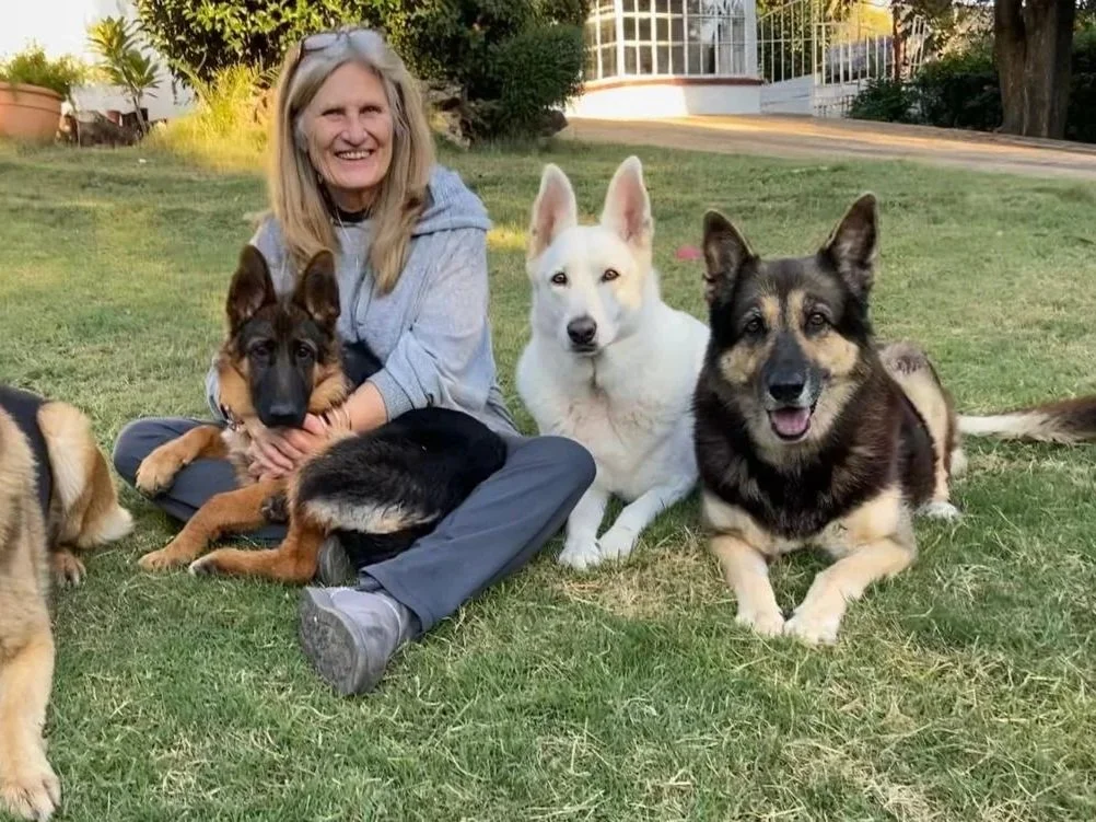 Brigitte, Morning Reception at The Barn Vet in Northriding, Johannesburg