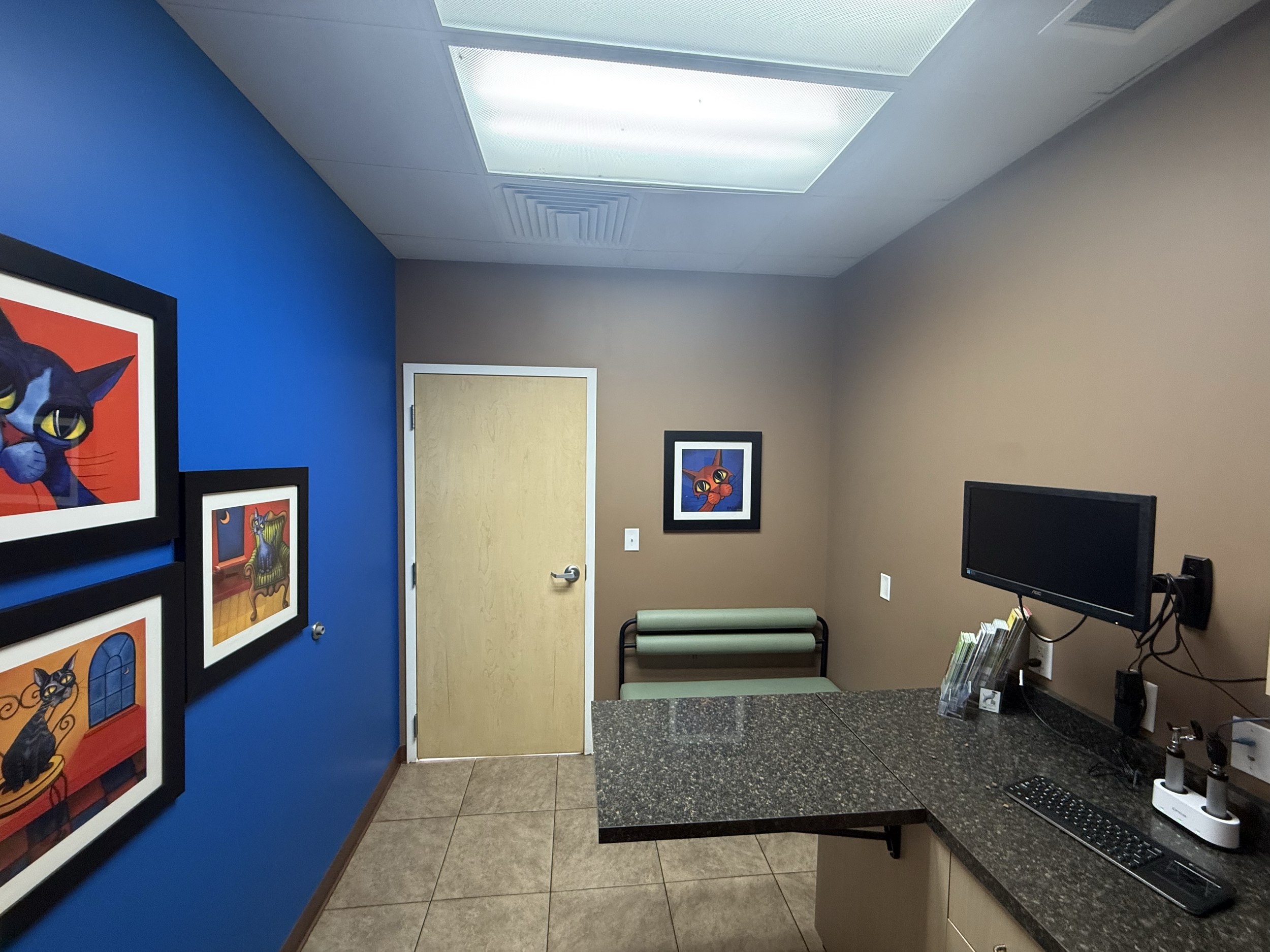 IMG_5252s8h2jS.png