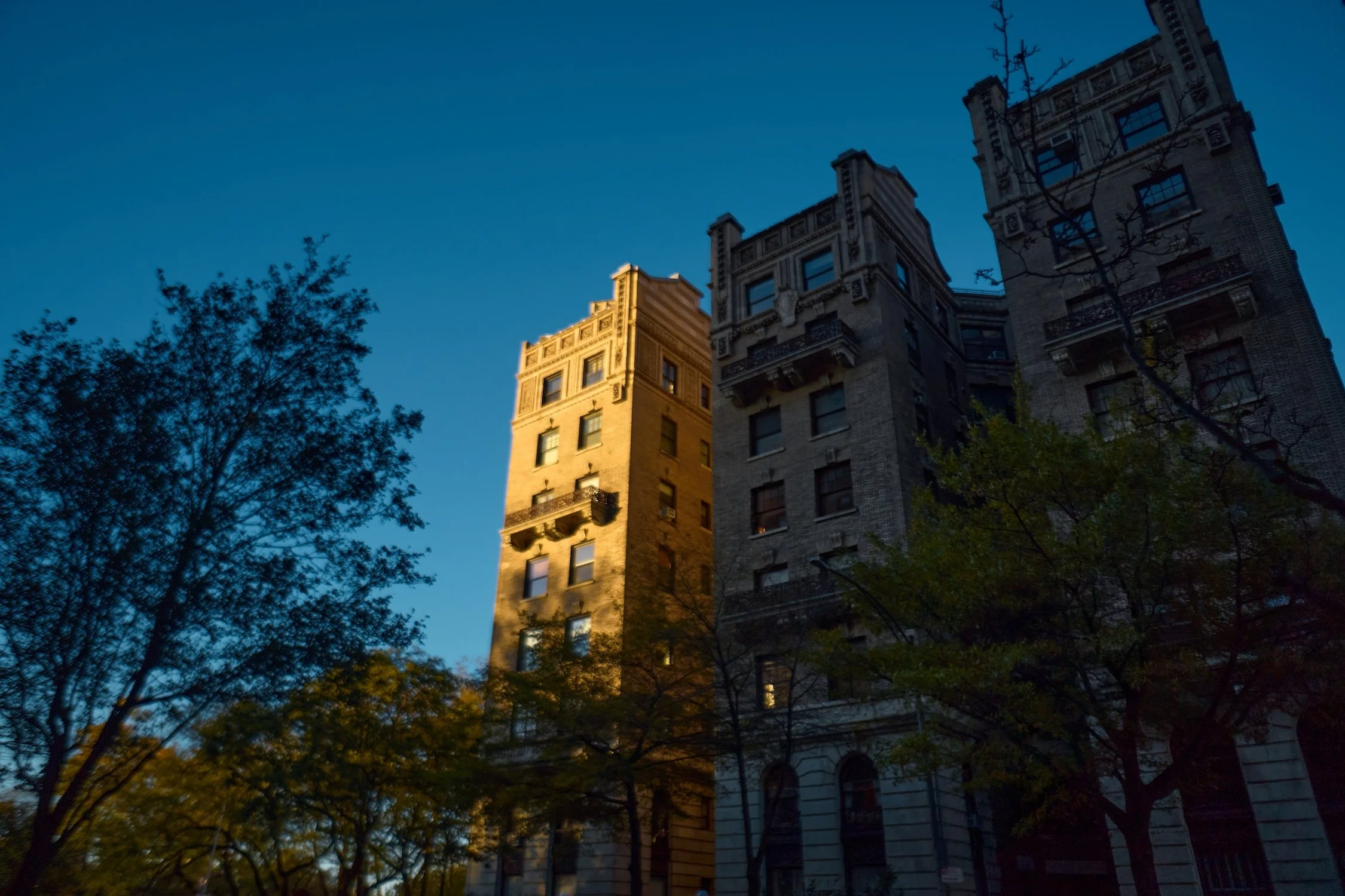 Tall buildings with ornate architecture against a blue sky, trees in the foreground with sunlight illuminating their leaves.