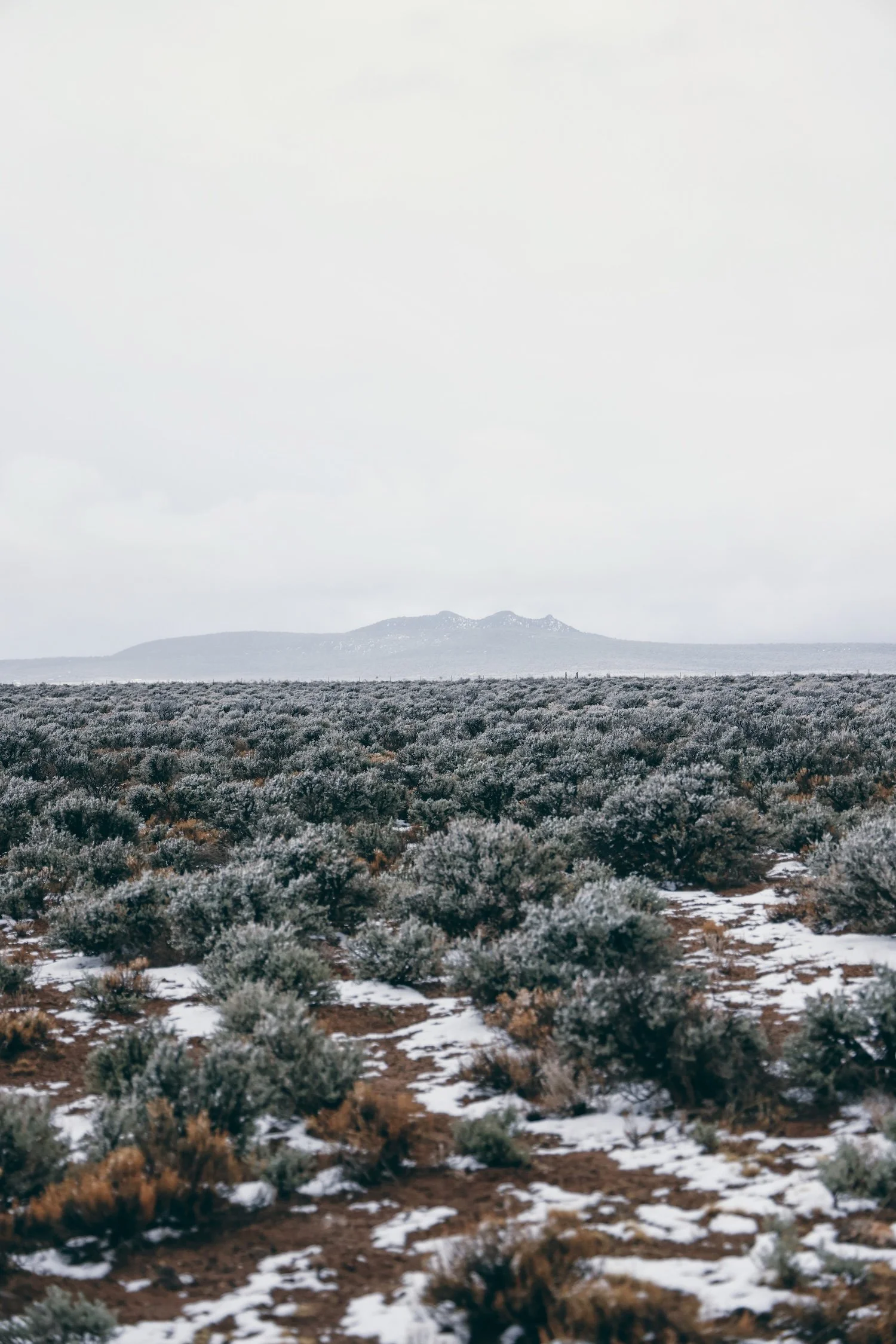 A landscape scene featuring a snow-dusted field with low shrubs and a distant mountain range under a cloudy sky.