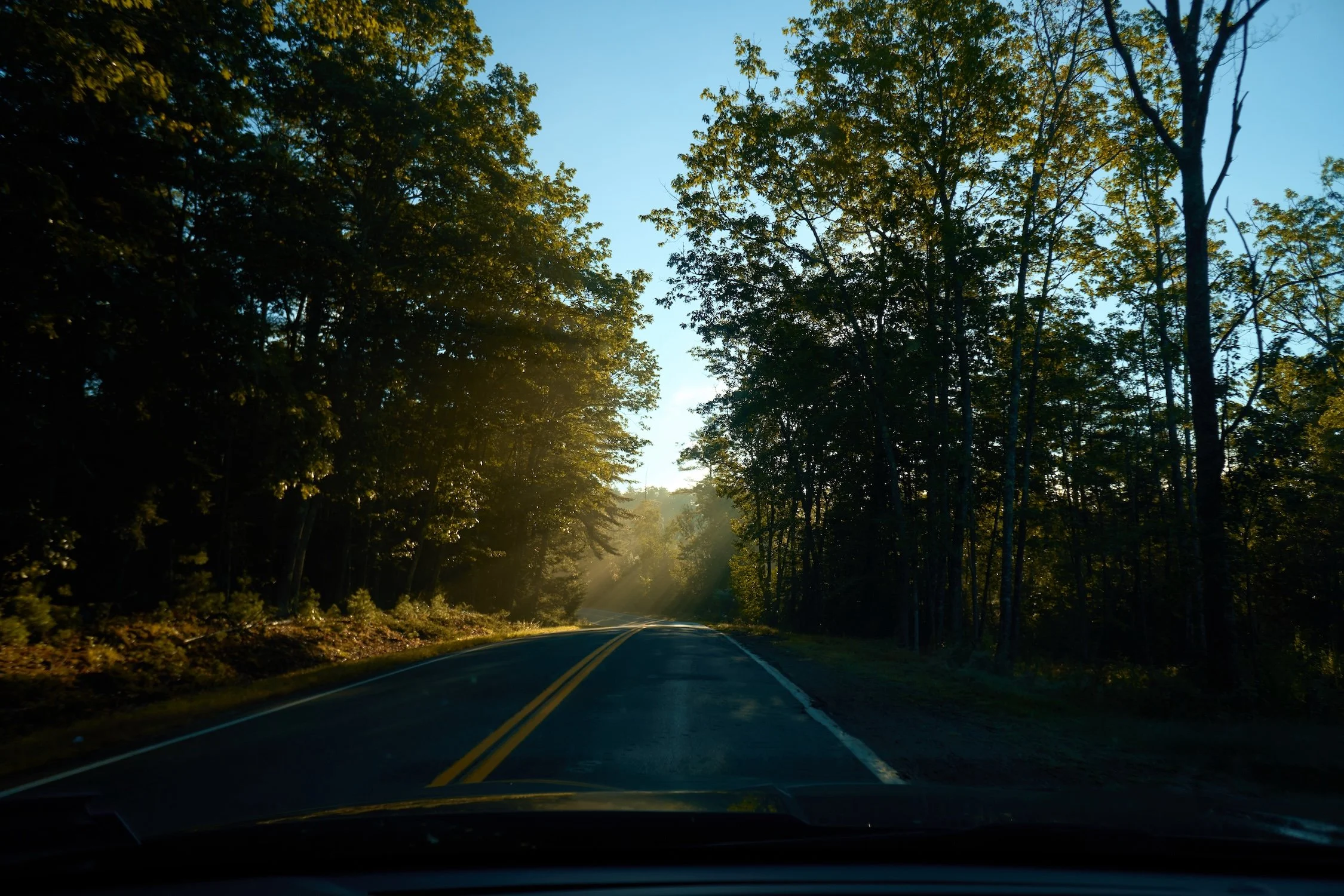 A winding road surrounded by tall trees on both sides, with sunlight streaming through the leaves, creating a peaceful, scenic atmosphere during daytime.
