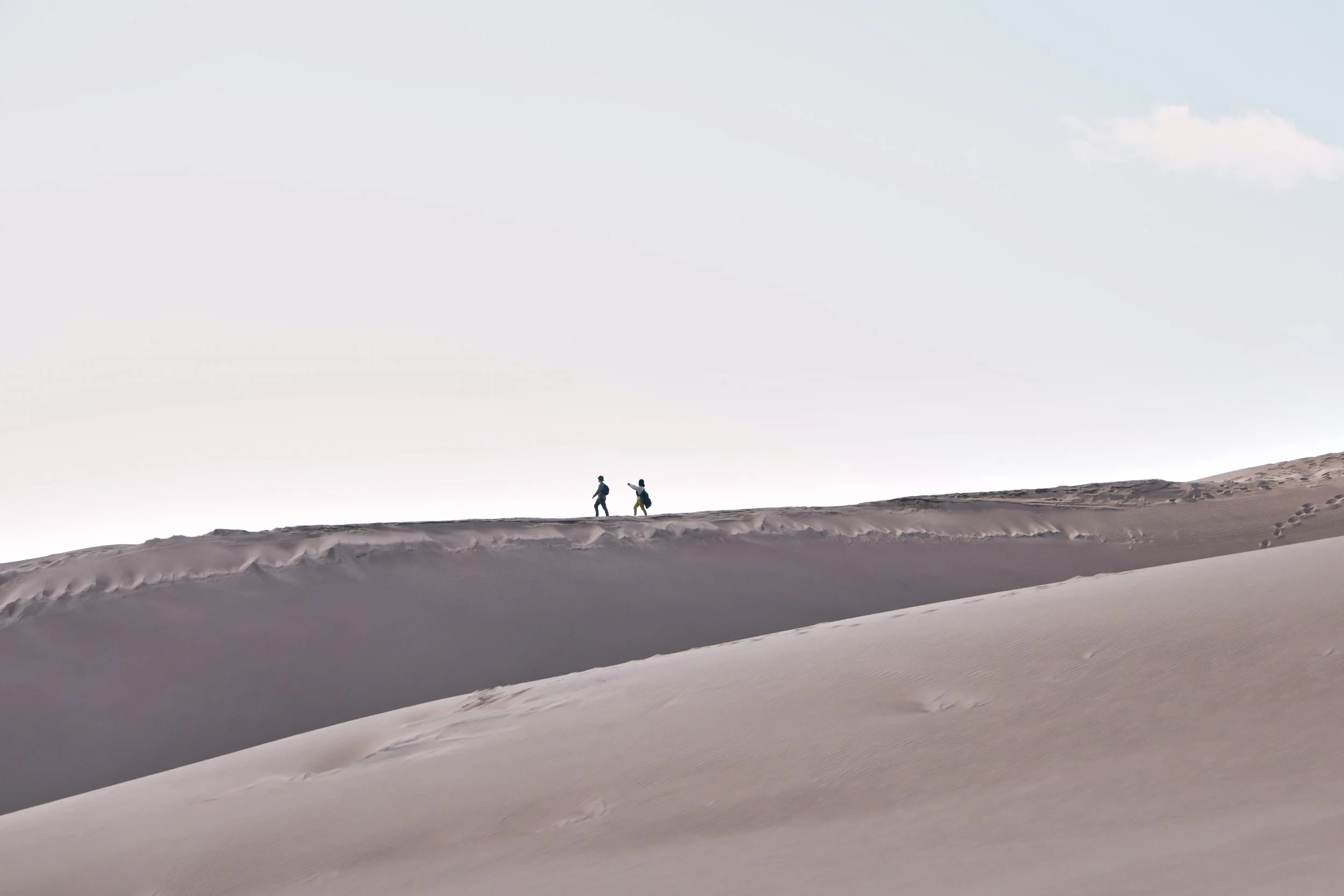 Two people walking on sandy dunes under a pale sky.