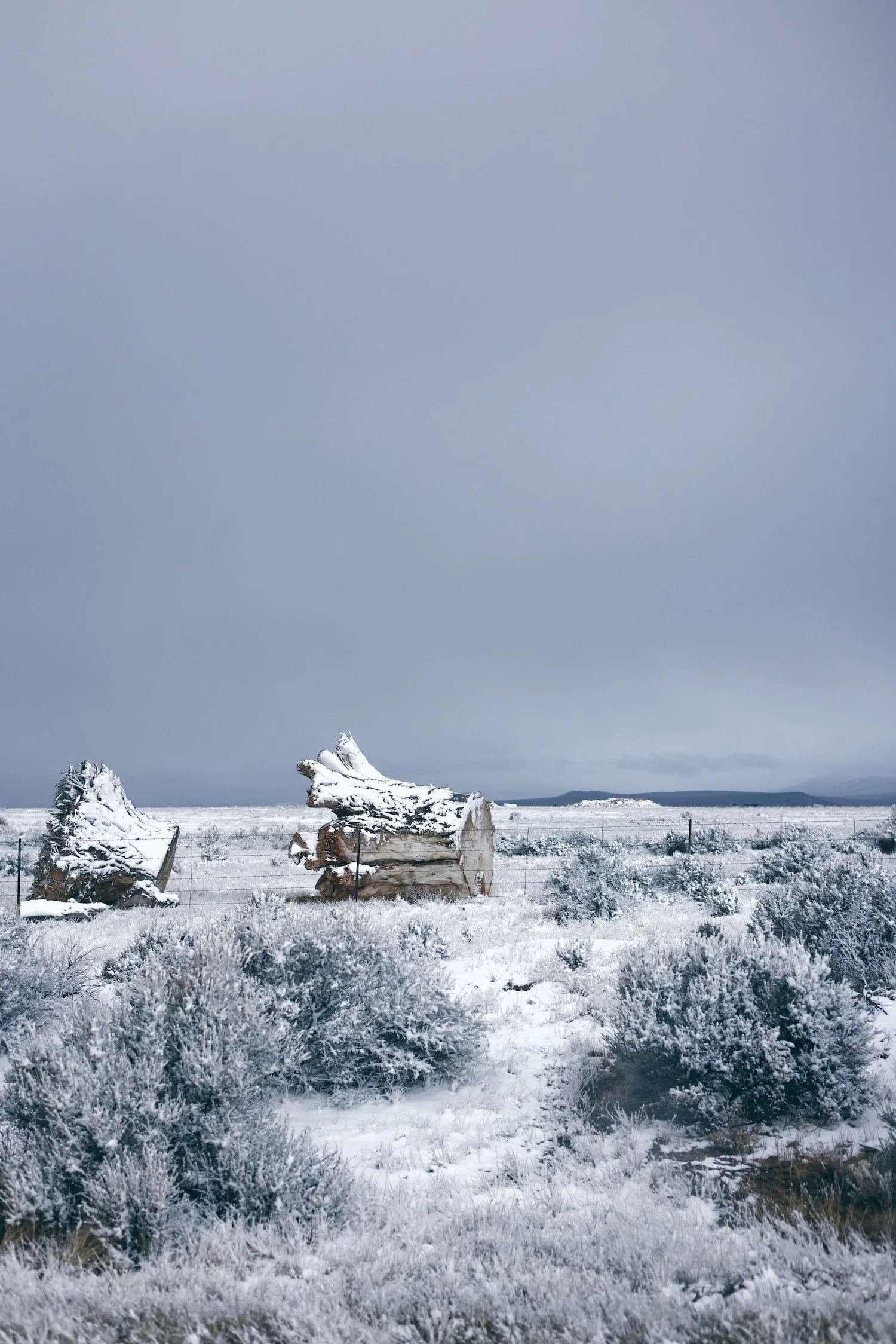 Snow-covered trees and bushes in a winter landscape with a distant mountain range, under a gray overcast sky.