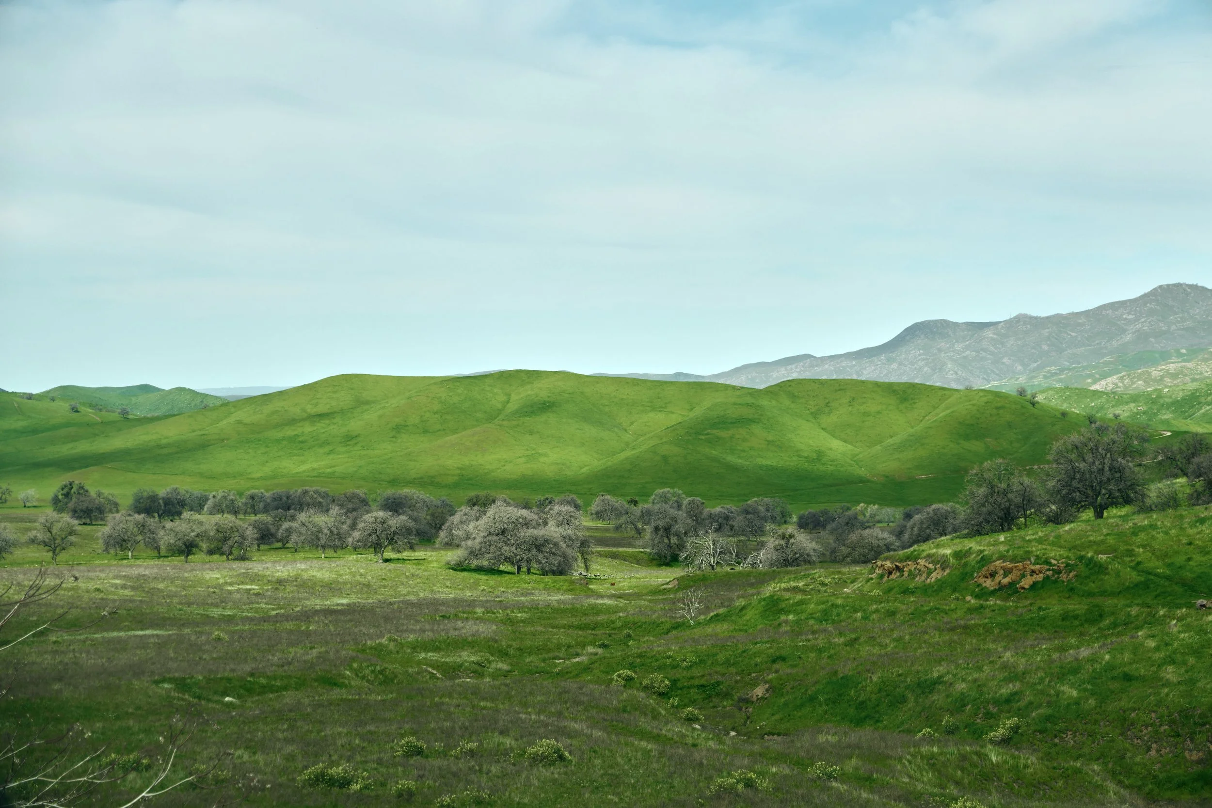 Green rolling hills and trees with mountain range in the background under partly cloudy sky.