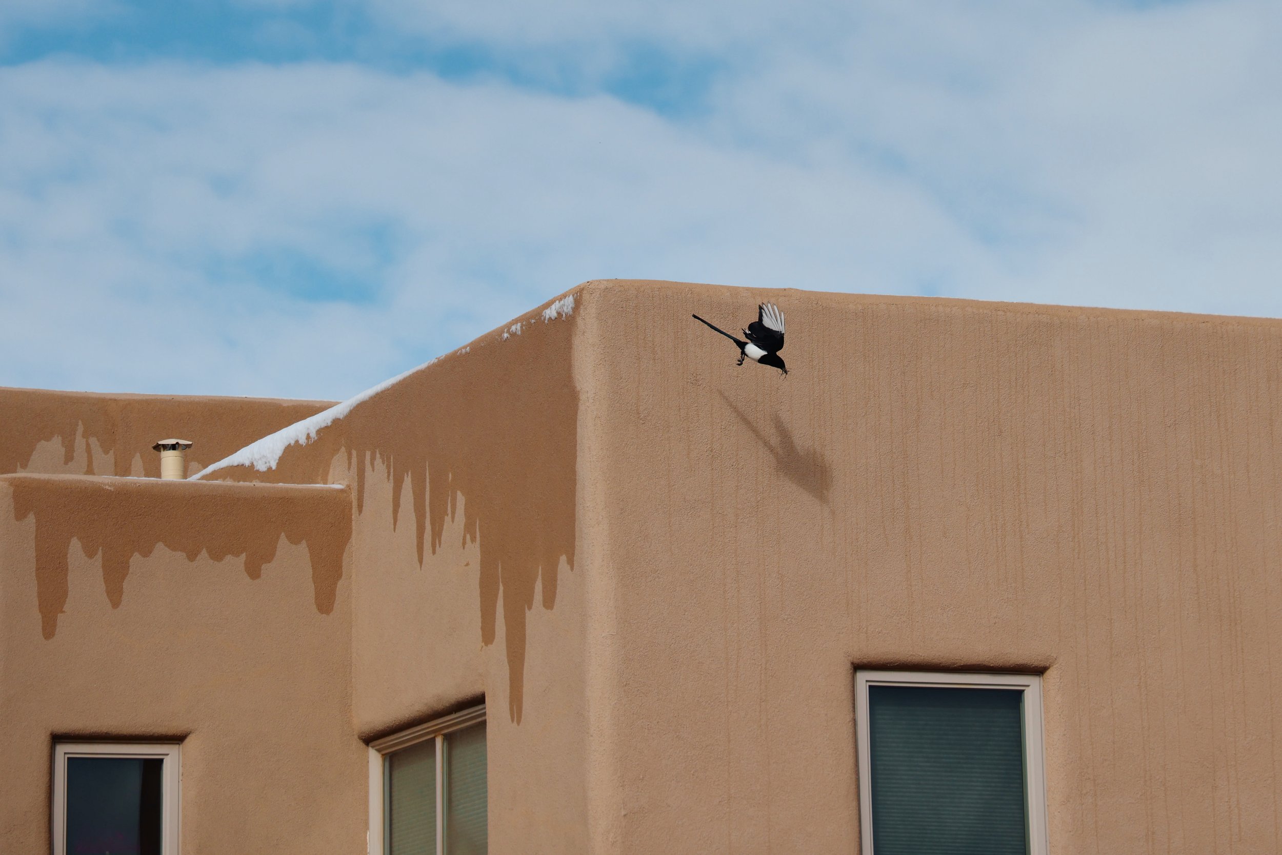 A bird flying above a beige stucco building with snow on the edge of the roof, under a partly cloudy sky.