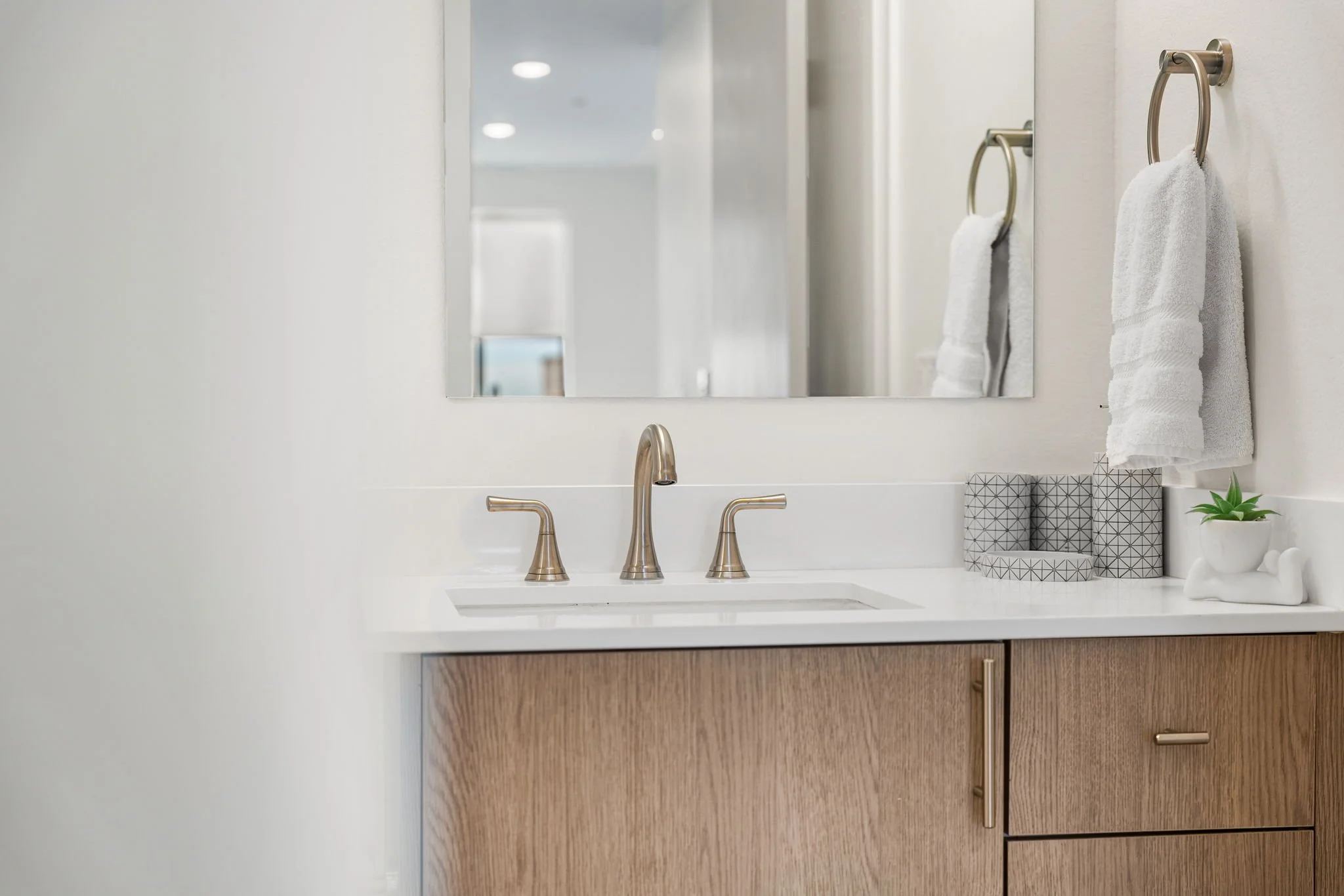 Bathroom vanity with a white countertop, a brass faucet, and a wooden cabinet beneath. Two rolled towels hang on a brass ring, a small potted plant in a whale-shaped pot, and a decorative geometric container sit on the counter. A large mirror is moun