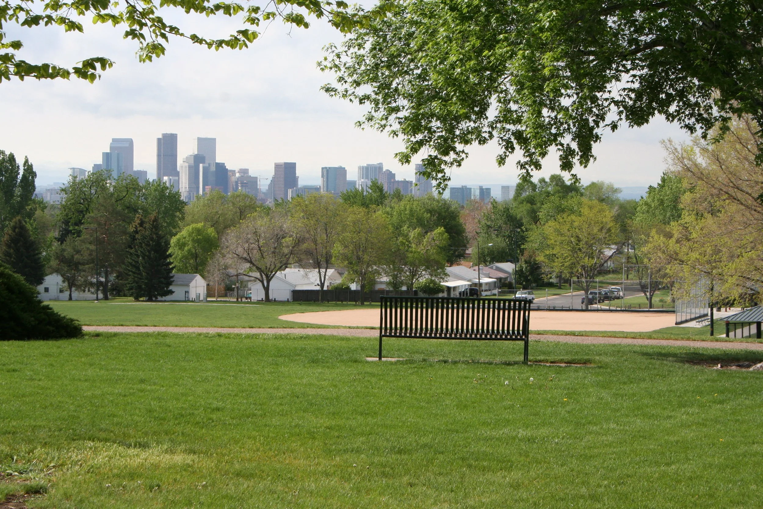 A park with a metal bench on a grassy field, trees, houses, and a city skyline with tall buildings in the background.