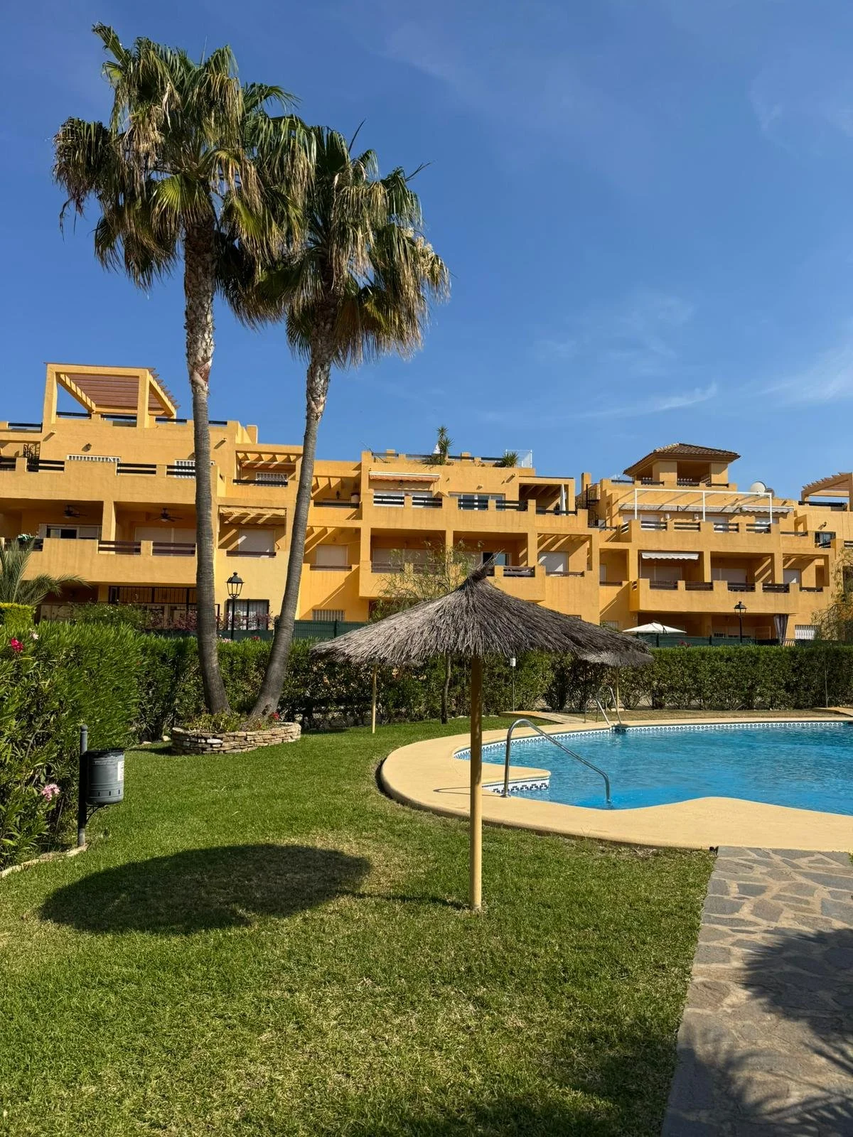 Poolside view with a thatched umbrella, lush green grass, trees, and a yellow apartment complex in the background under a blue sky.