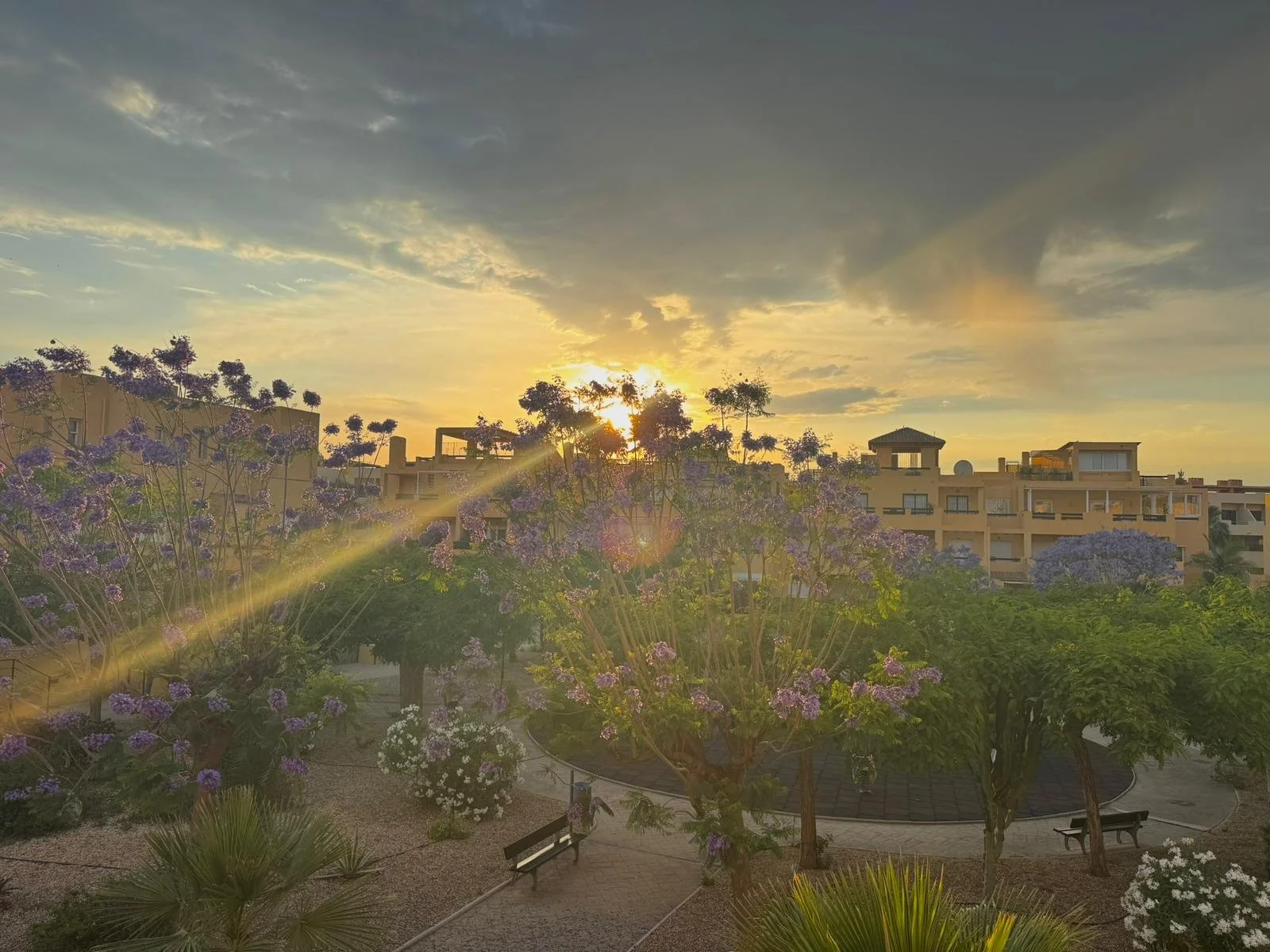 Sunset over a landscaped garden with purple flowering trees and benches, apartment buildings in the background, and a cloudy sky.