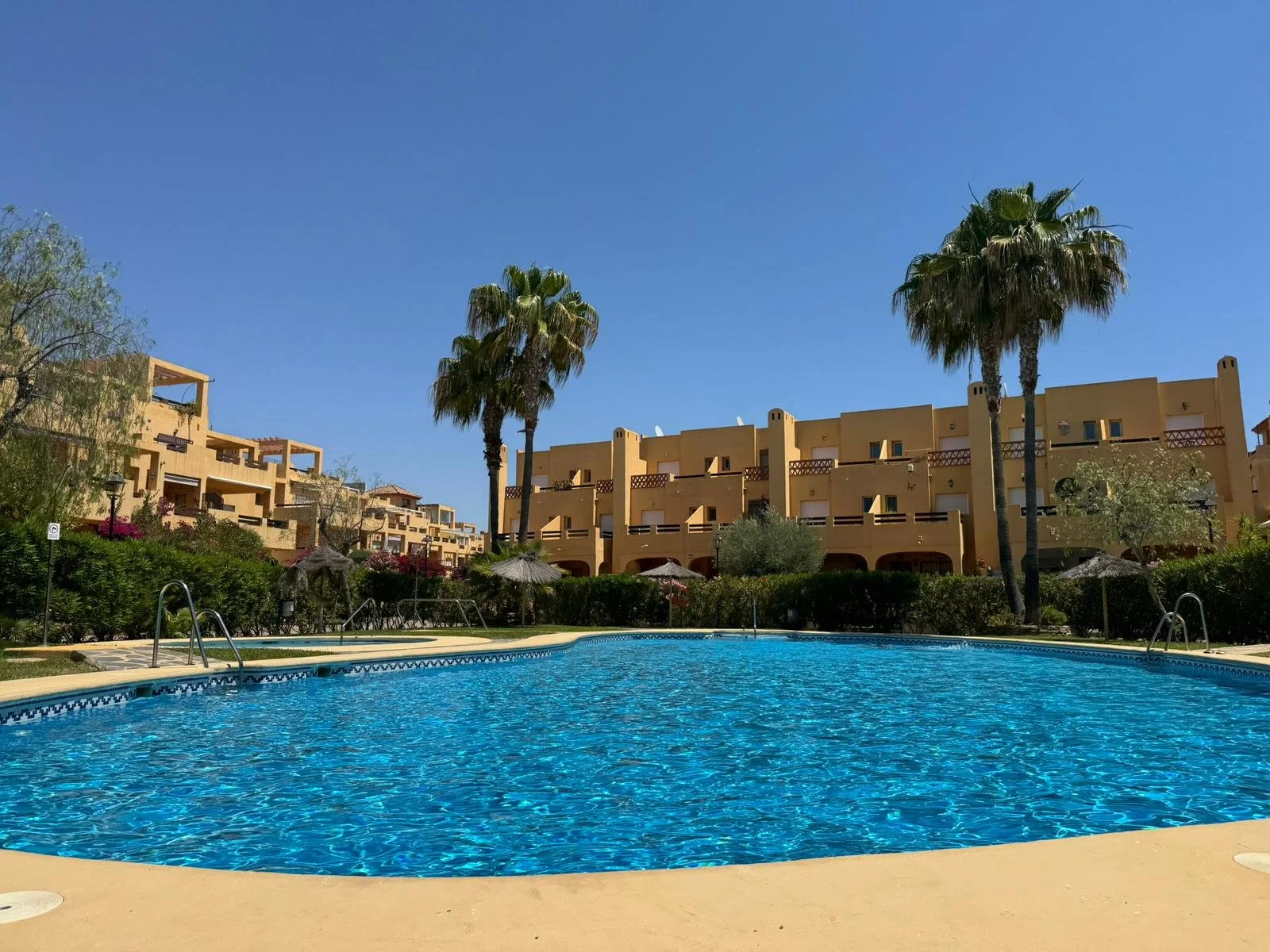 Swimming pool with blue water in a sunny outdoor area surrounded by green shrubs, palm trees, and beige residential buildings against a clear blue sky.