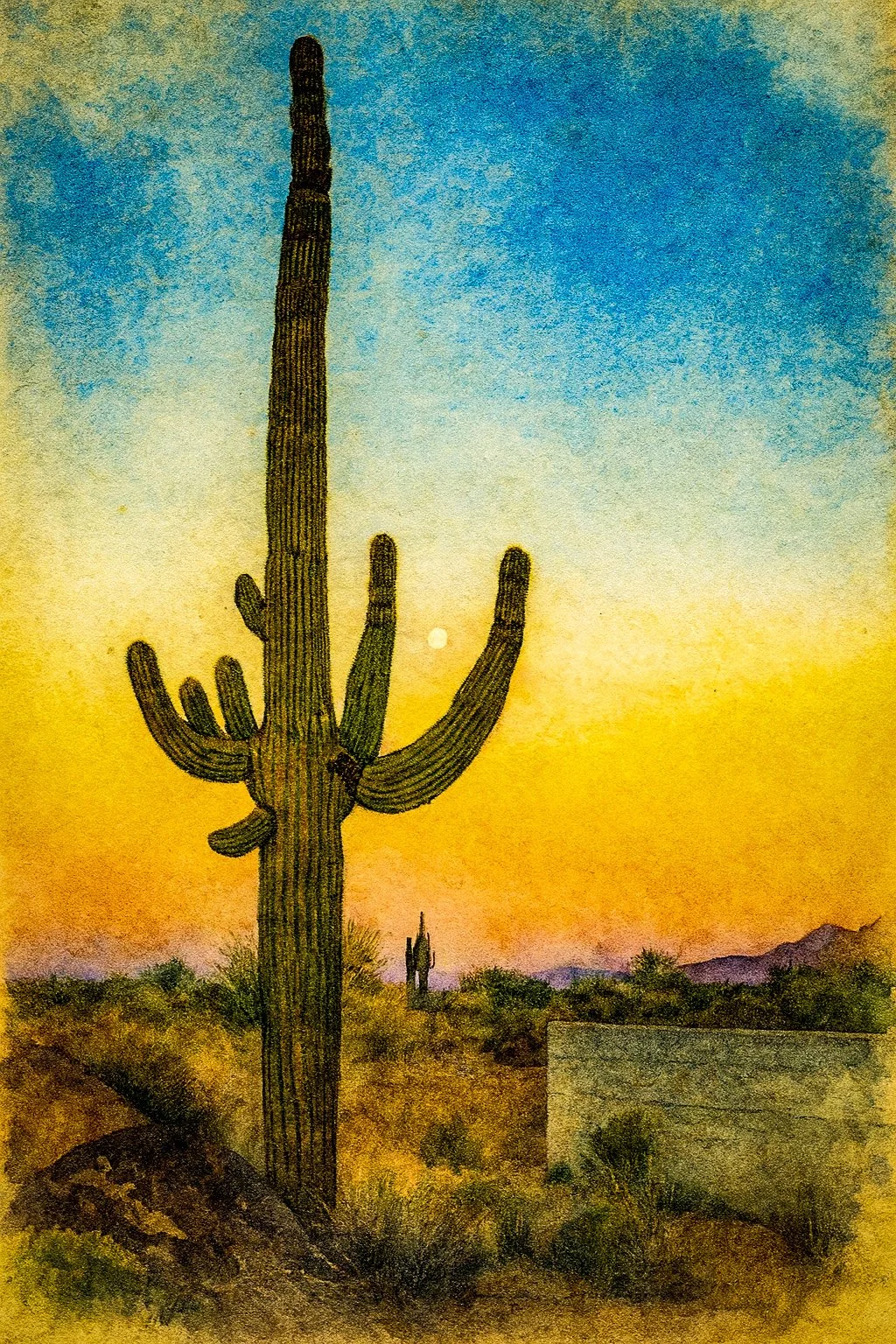 Saguaro Sunset Fine-Art Giclée Print