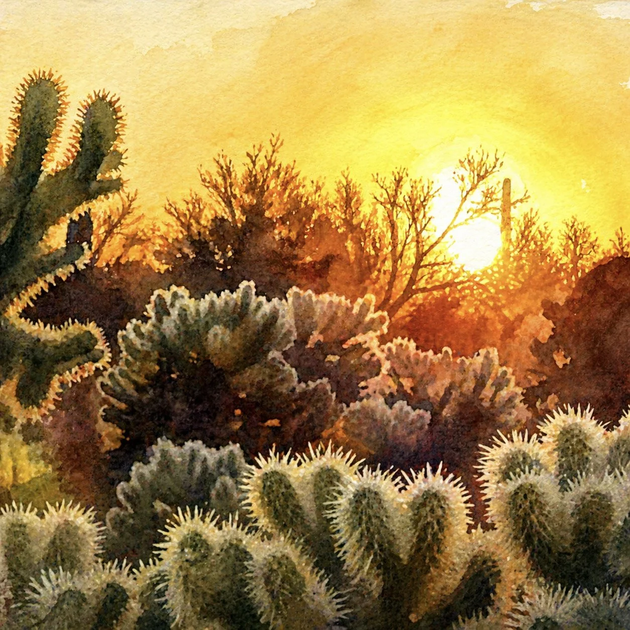 Sonoran Desert Sunrise Fine-Art Giclée Print