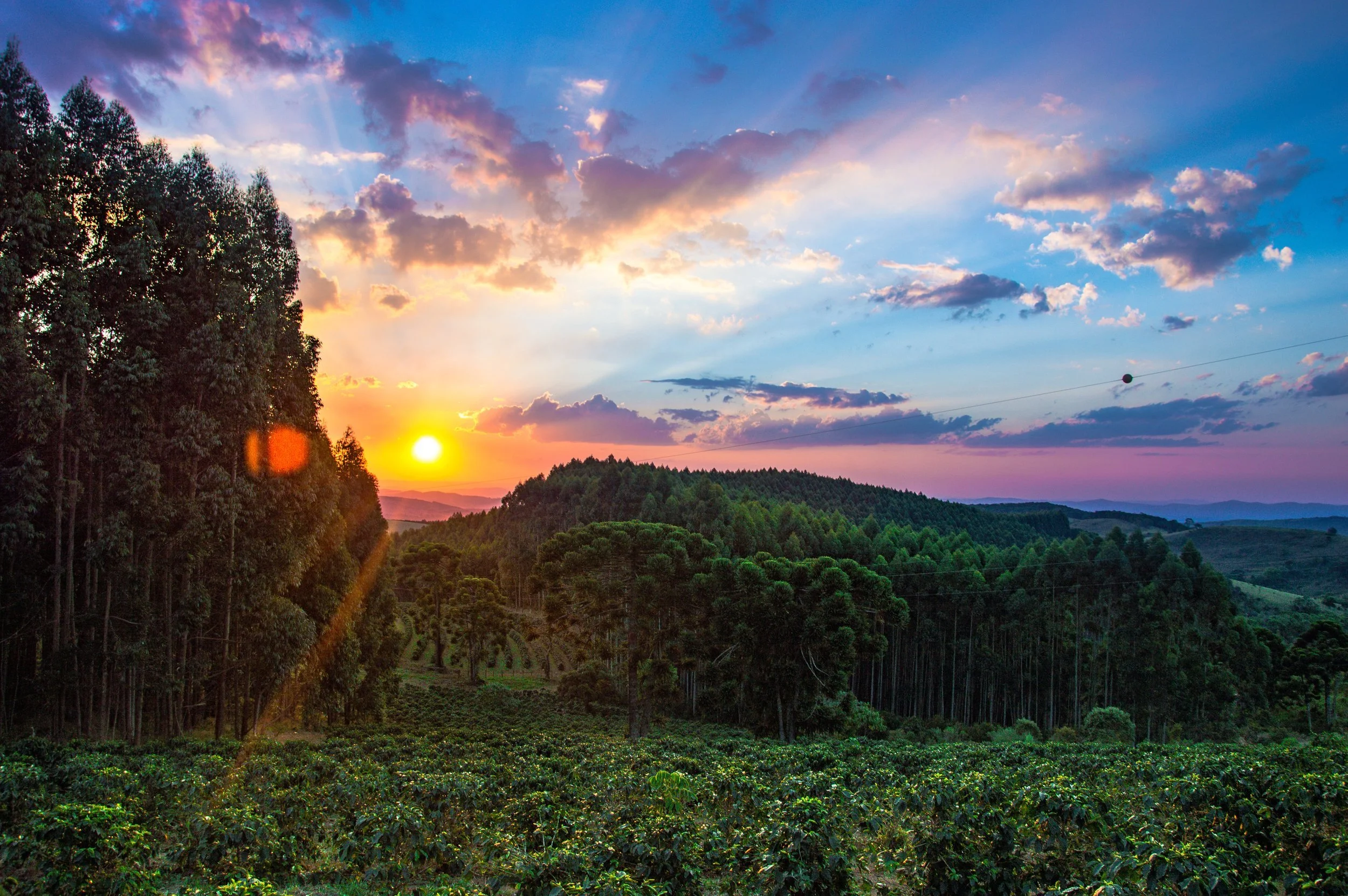 Brazil Minas Gerais