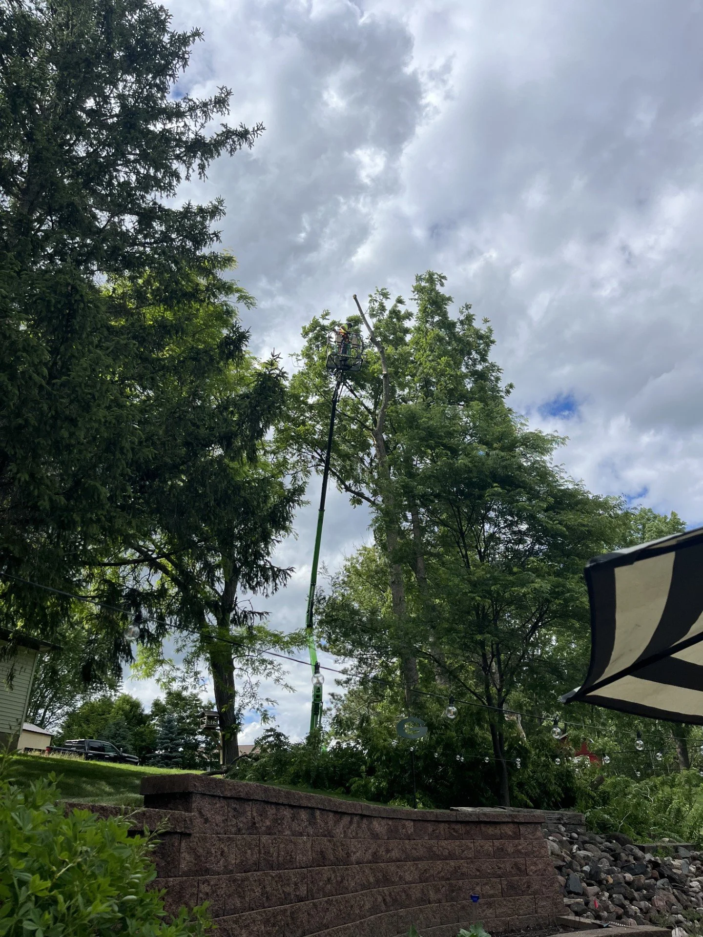 Tree Trimming