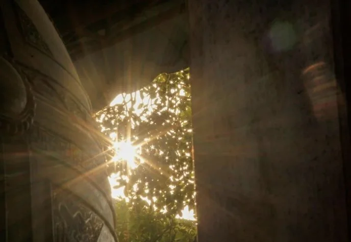 Sunlight shining through leaves and branches outside a window, with a glowing lens flare effect.
