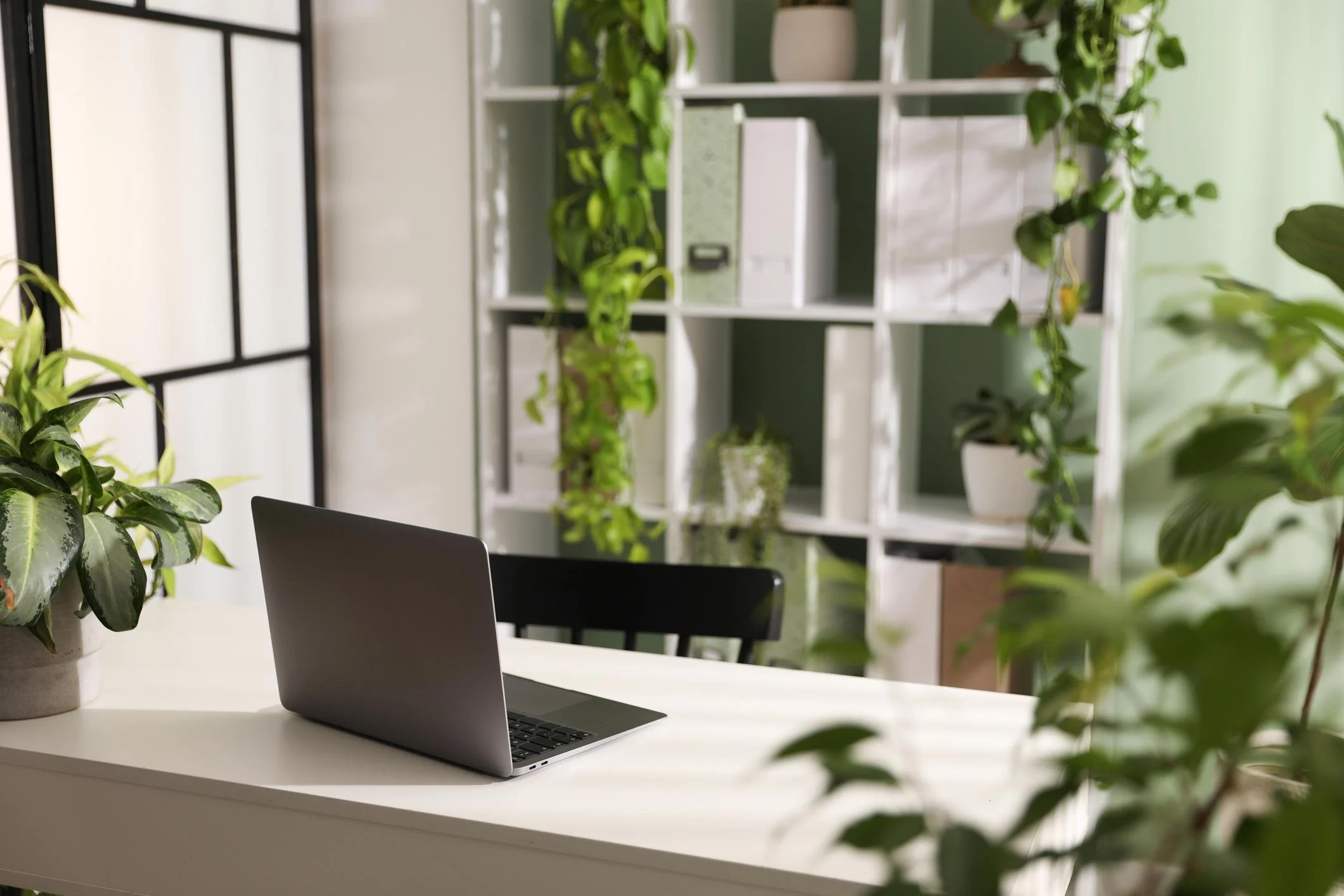 A laptop on a white desk surrounded by green plants in a bright, modern office space with a white shelving unit.