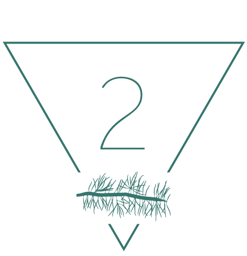 Magnifique plat à porté de main - Traiteur Québec
