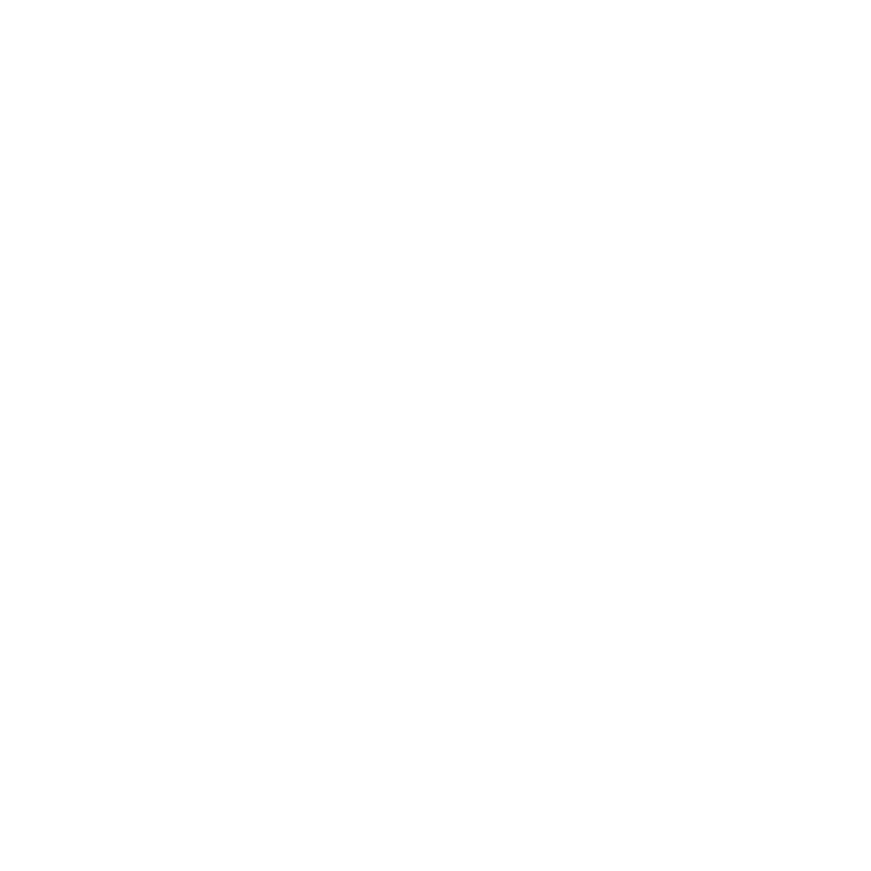 White wireframe globe on black background.
