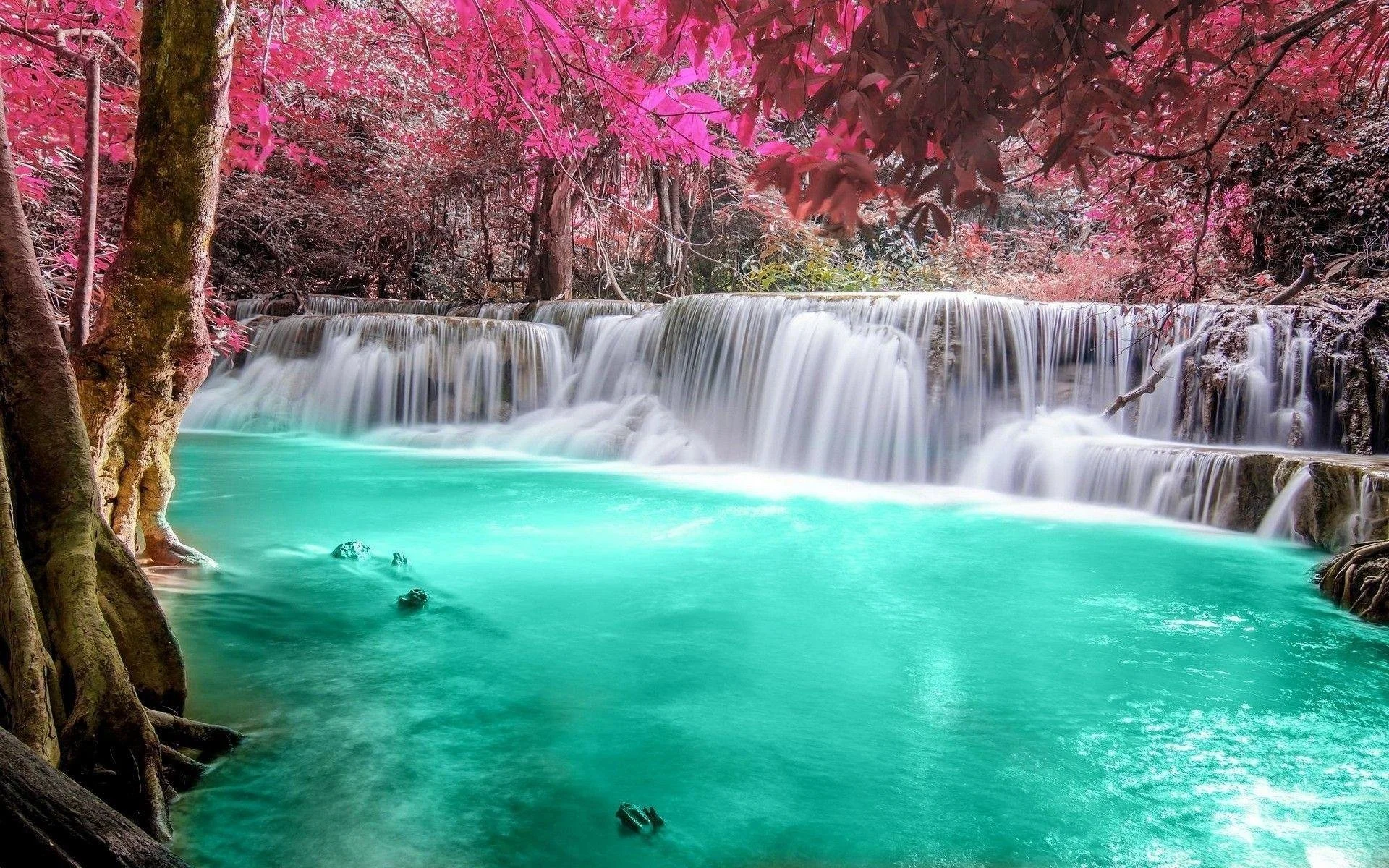 A serene waterfall cascading over rocks into a turquoise pool surrounded by trees with pink and purple leaves.