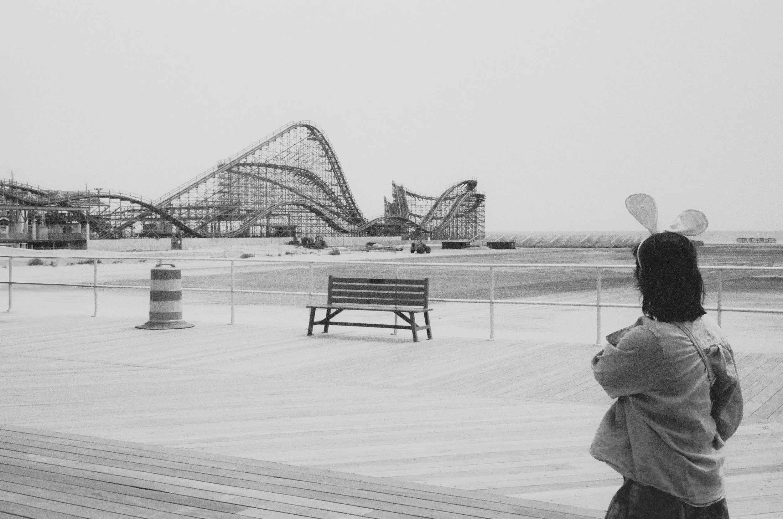 A person in a hoodie with bunny ears on their head stands on a wooden boardwalk, facing an amusement park with roller coasters and rides in the background, under an overcast sky.