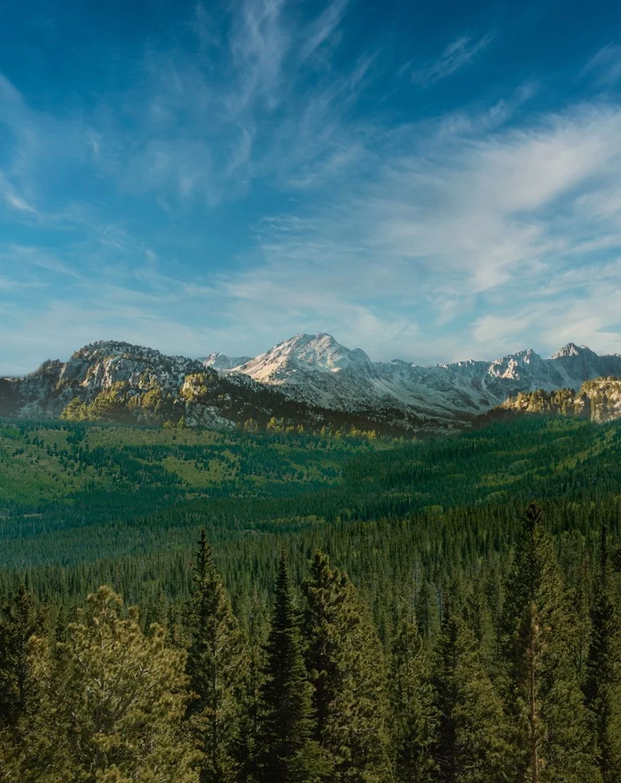 Scenic view of a mountain range with snow-capped peaks, dense green forest at the base, and a bright blue sky with scattered clouds.
