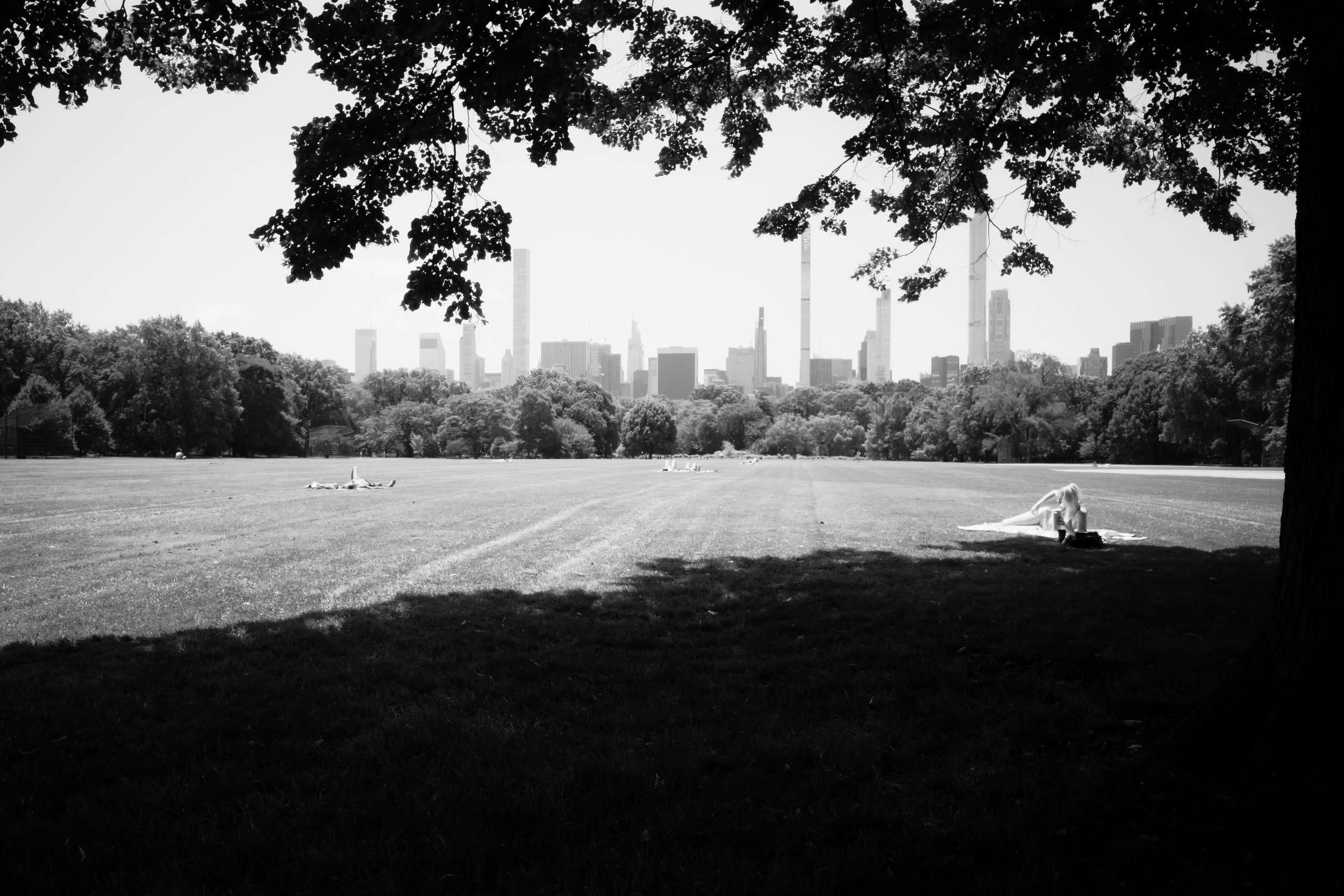 A black and white photo of a park with people lying on the grass, city skyline with tall buildings visible in the background, framed by tree branches and leaves.