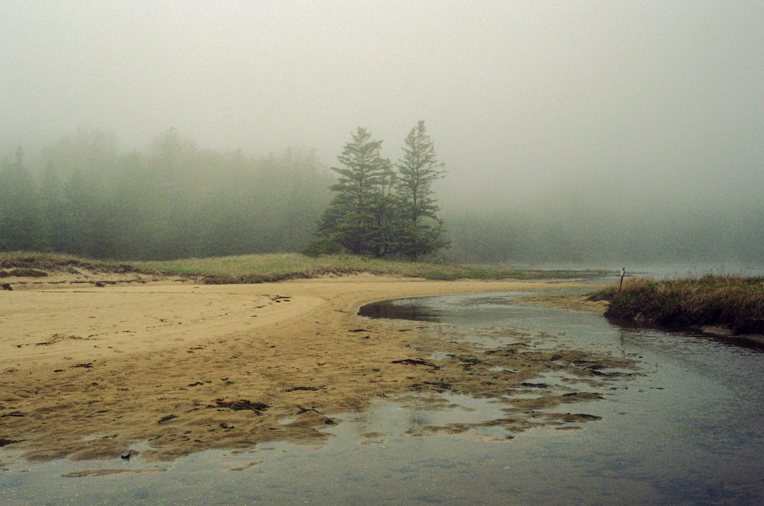 A foggy beach scene with a sandy shoreline, a small river, and a group of trees in the background.