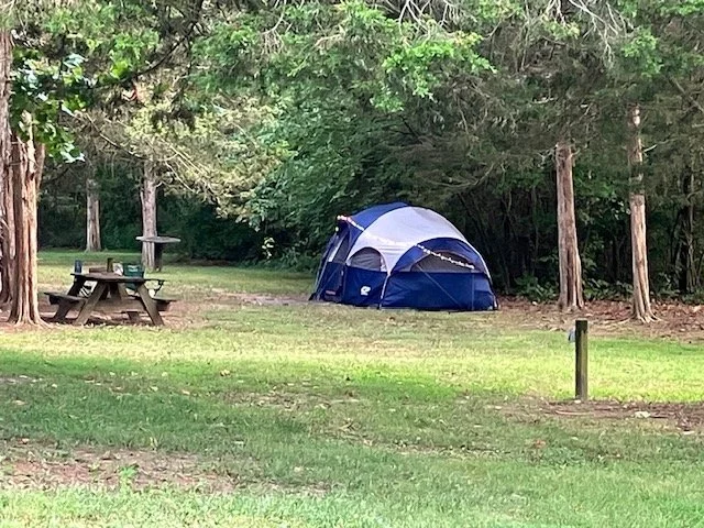 A blue and white tent on a grassy field with a picnic table nearby and surrounded by mature trees.