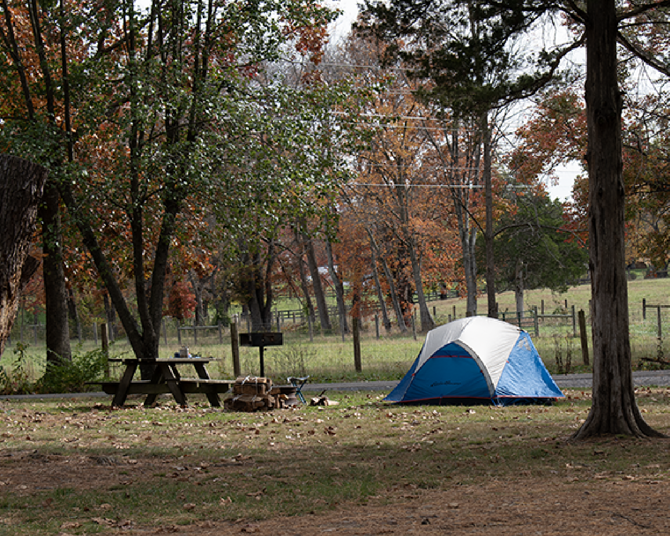 A blue and white tent with picnic table and grill in a wooded area on Tent Site A