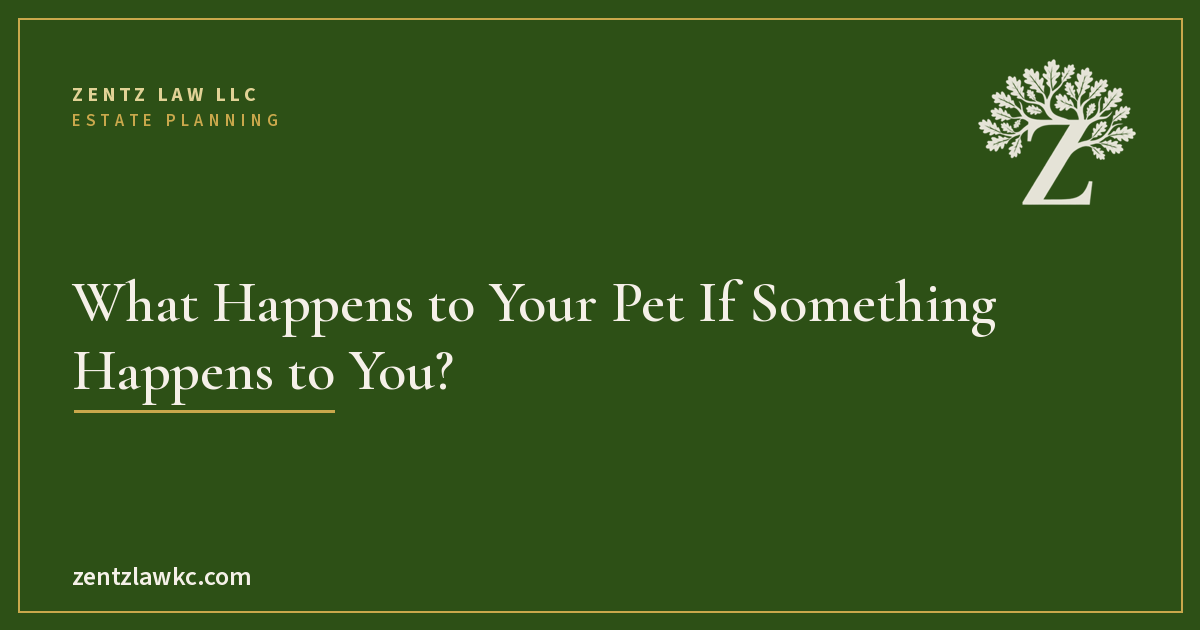 What Happens to Your Pet If Something Happens to You?