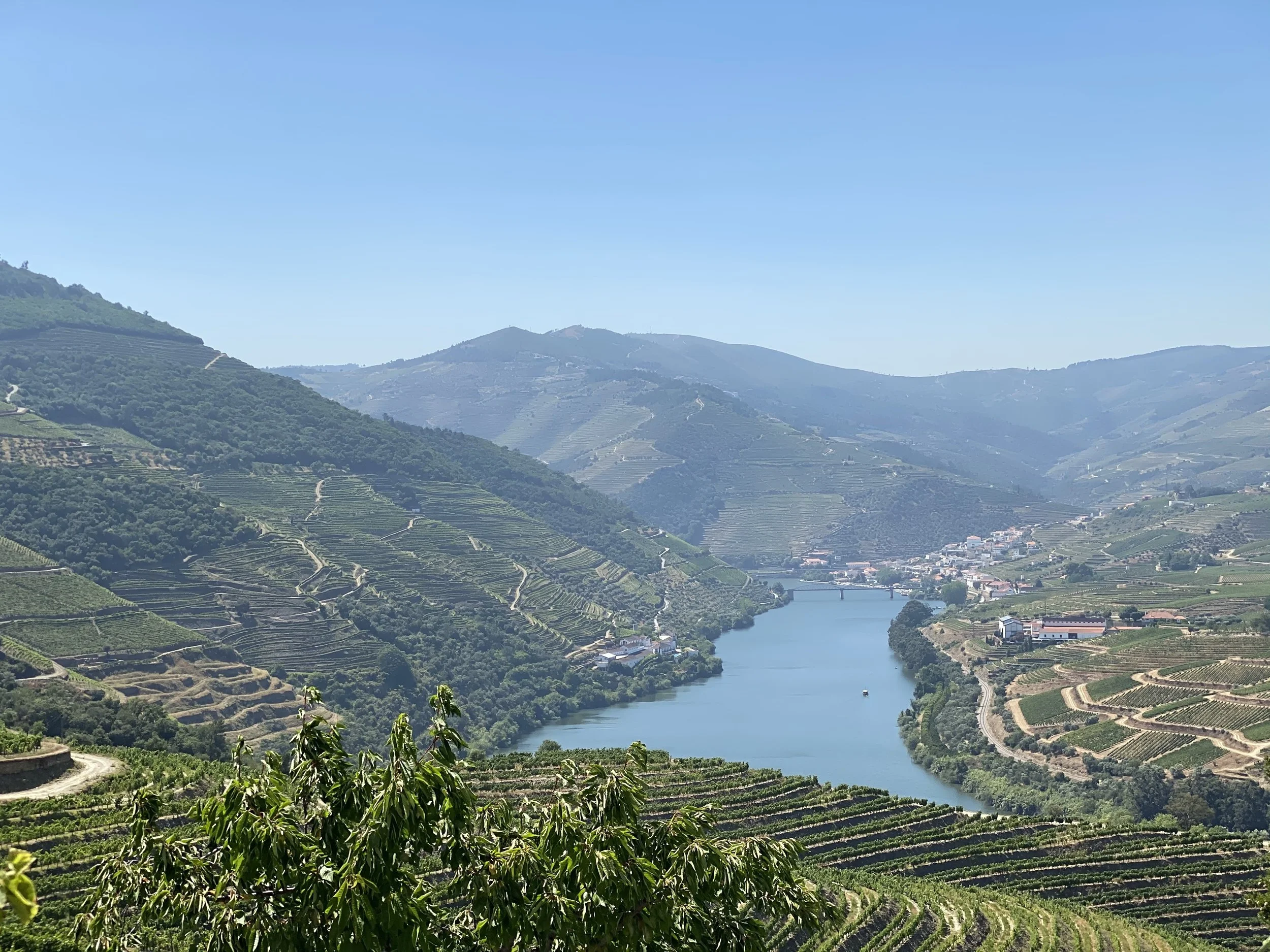 Douro Valley view from Ventozelo overlooking Pinhão