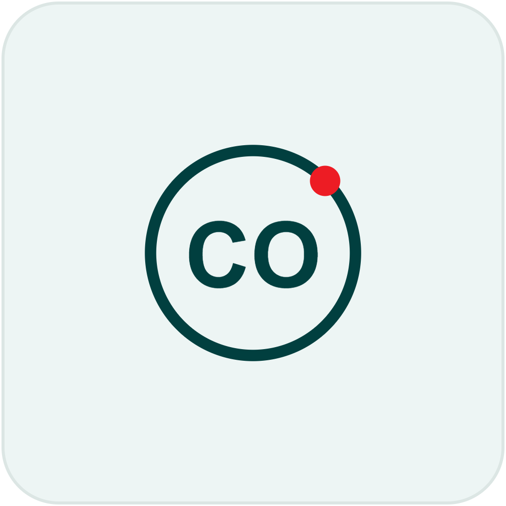 Carbon monoxide &amp; explosive gas alarms.