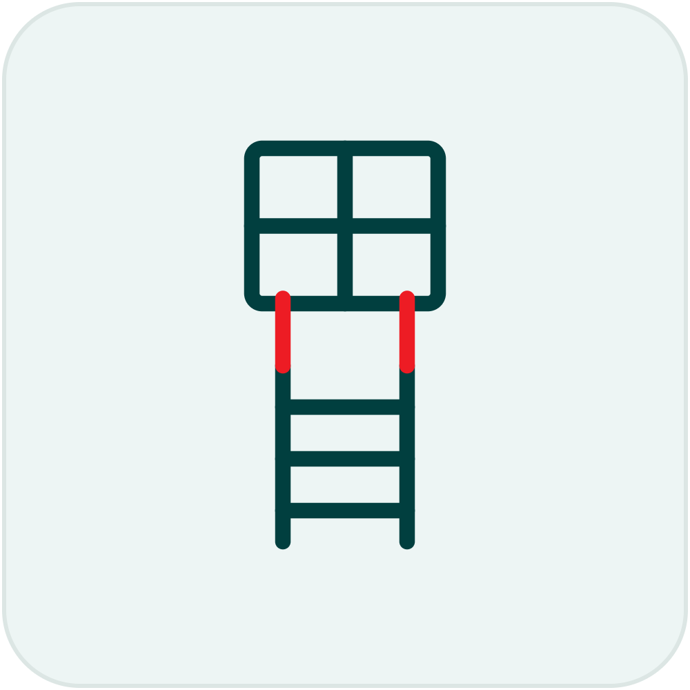 Escape ladders for multi-story homes.