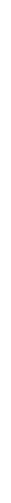 Close-up of a black zipper running vertically.