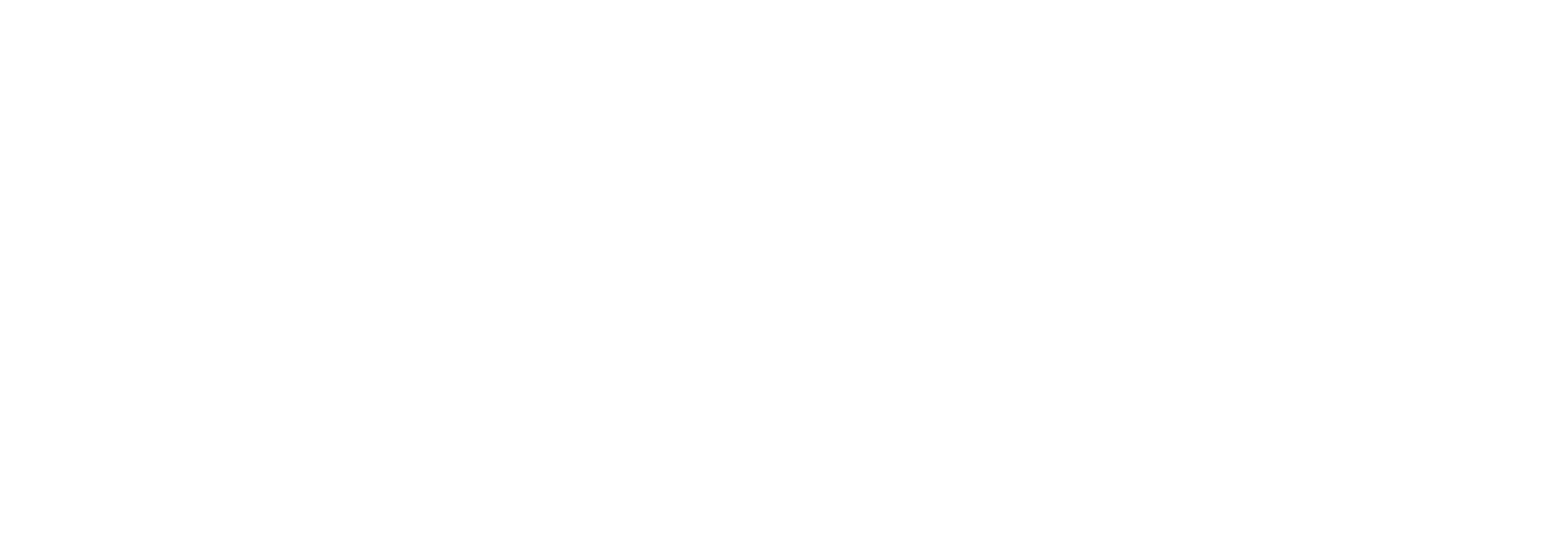 TJ Kiwi Photography