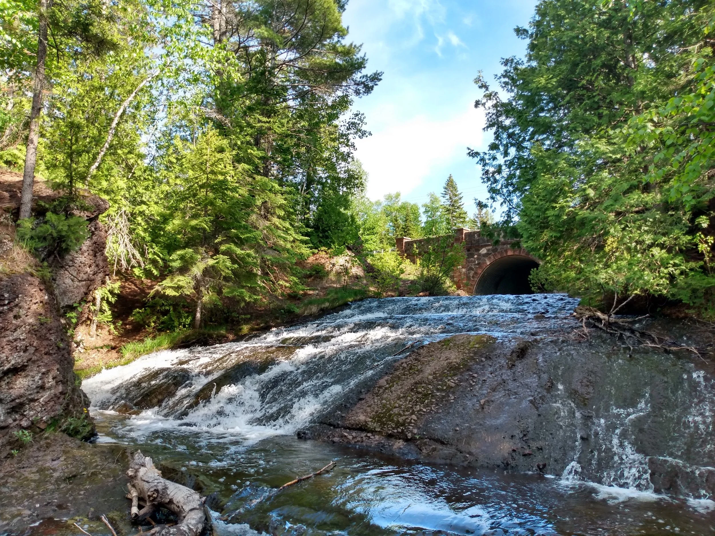 IMG_20210601_173948802_HDR.jpg