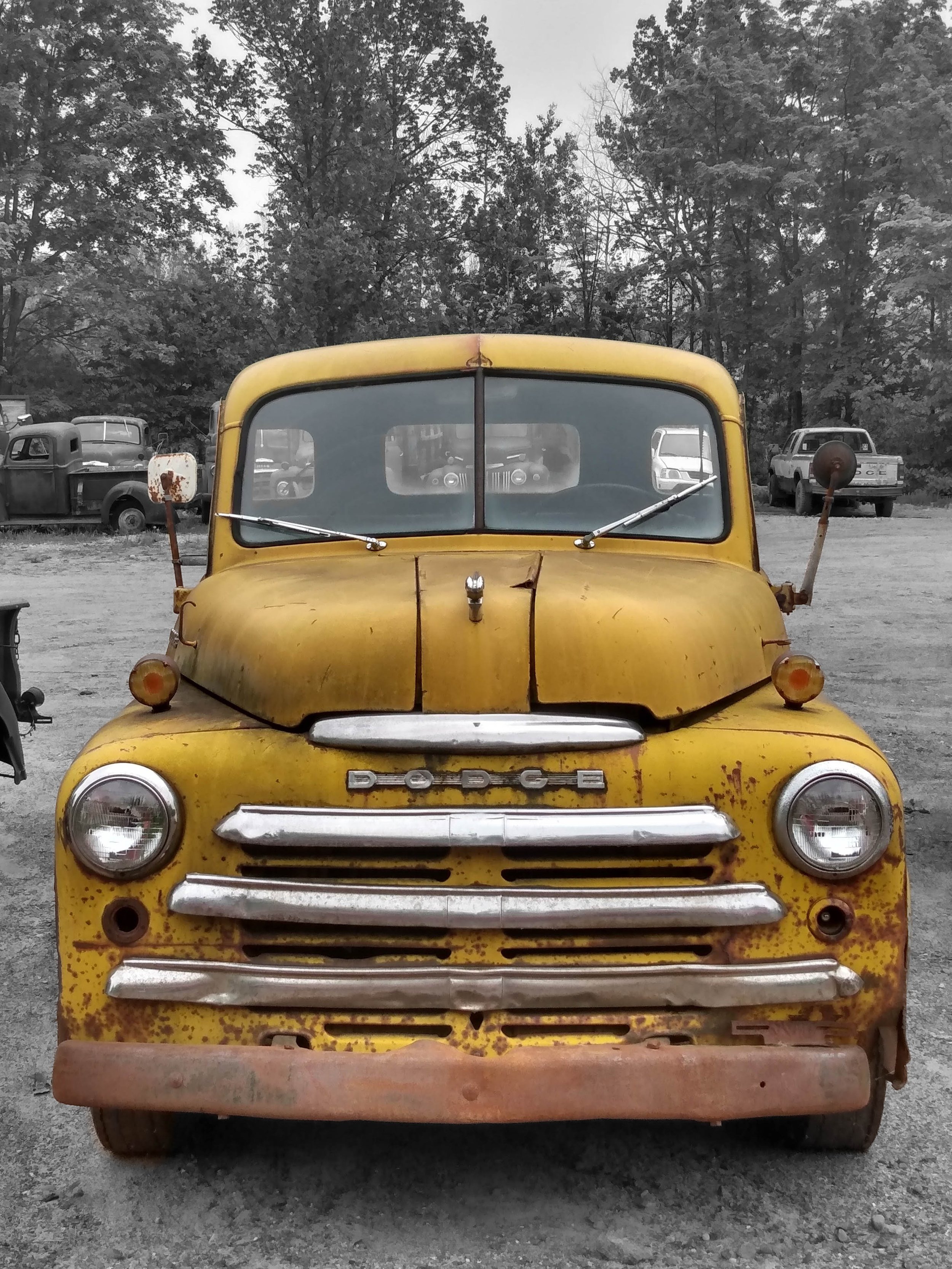 IMG_20210602_141507170_HDR.jpg