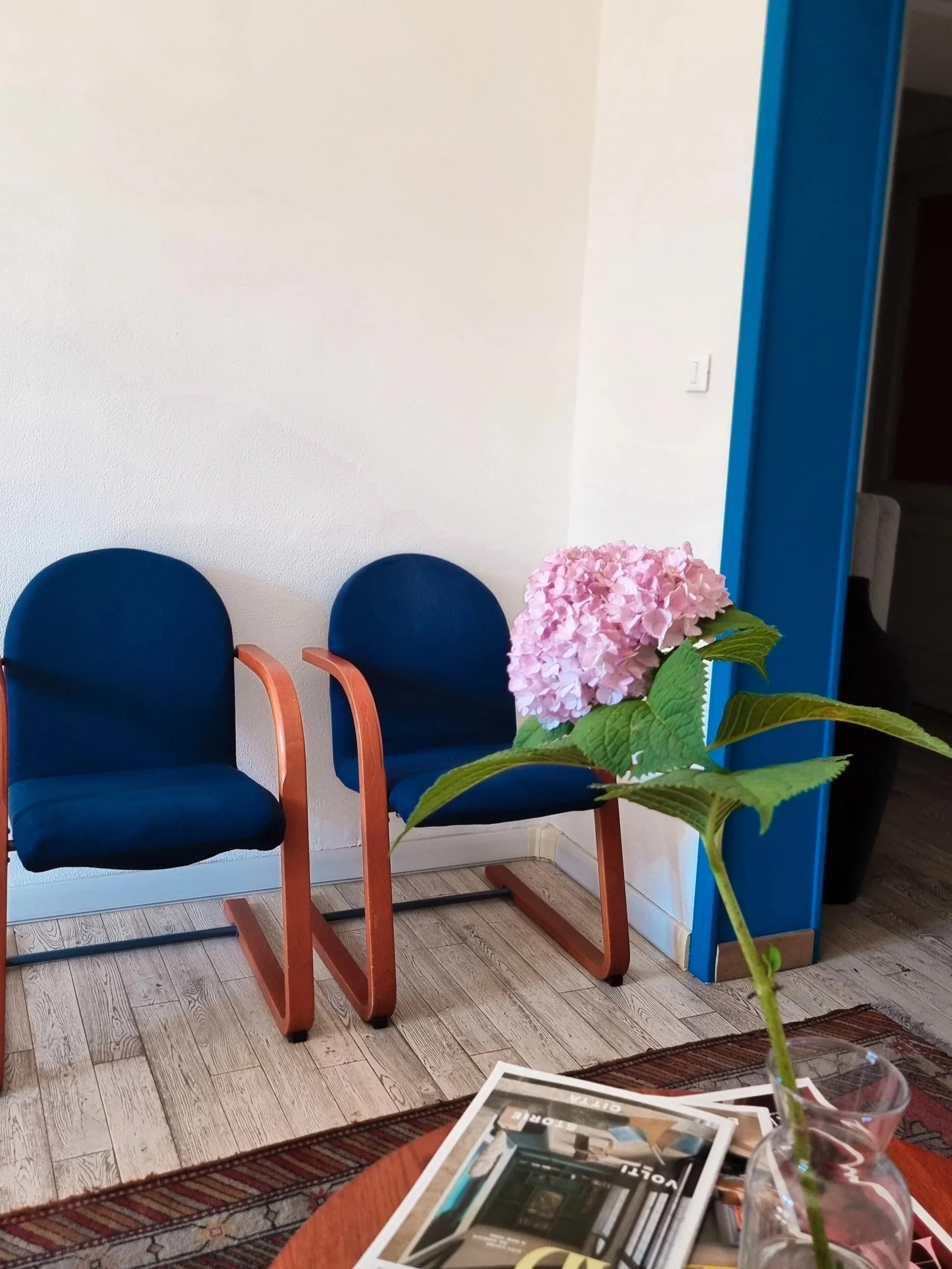 Sala con due sedie blu e un fiore rosa in un vaso trasparente.