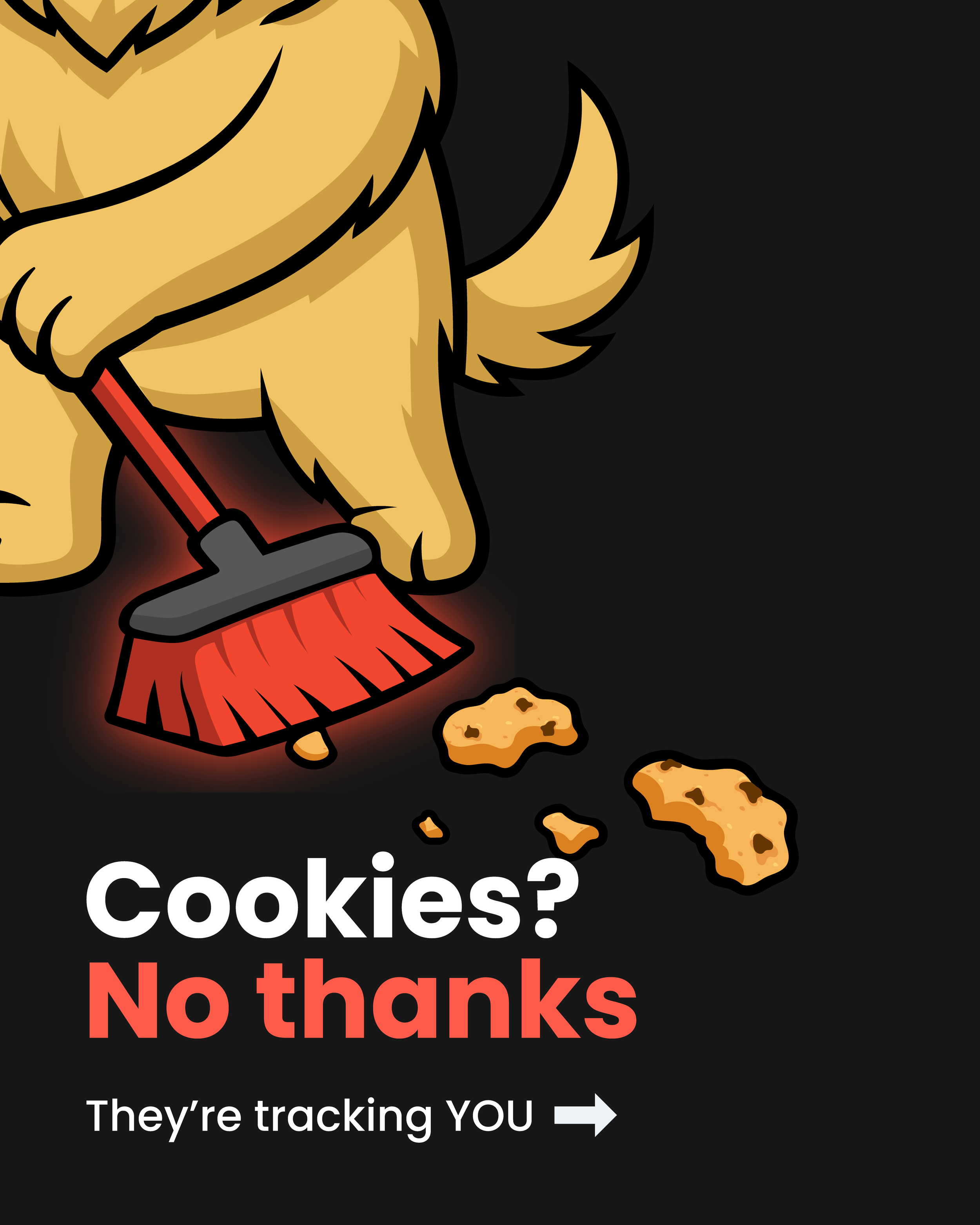 vpn cookie carousel-01.png