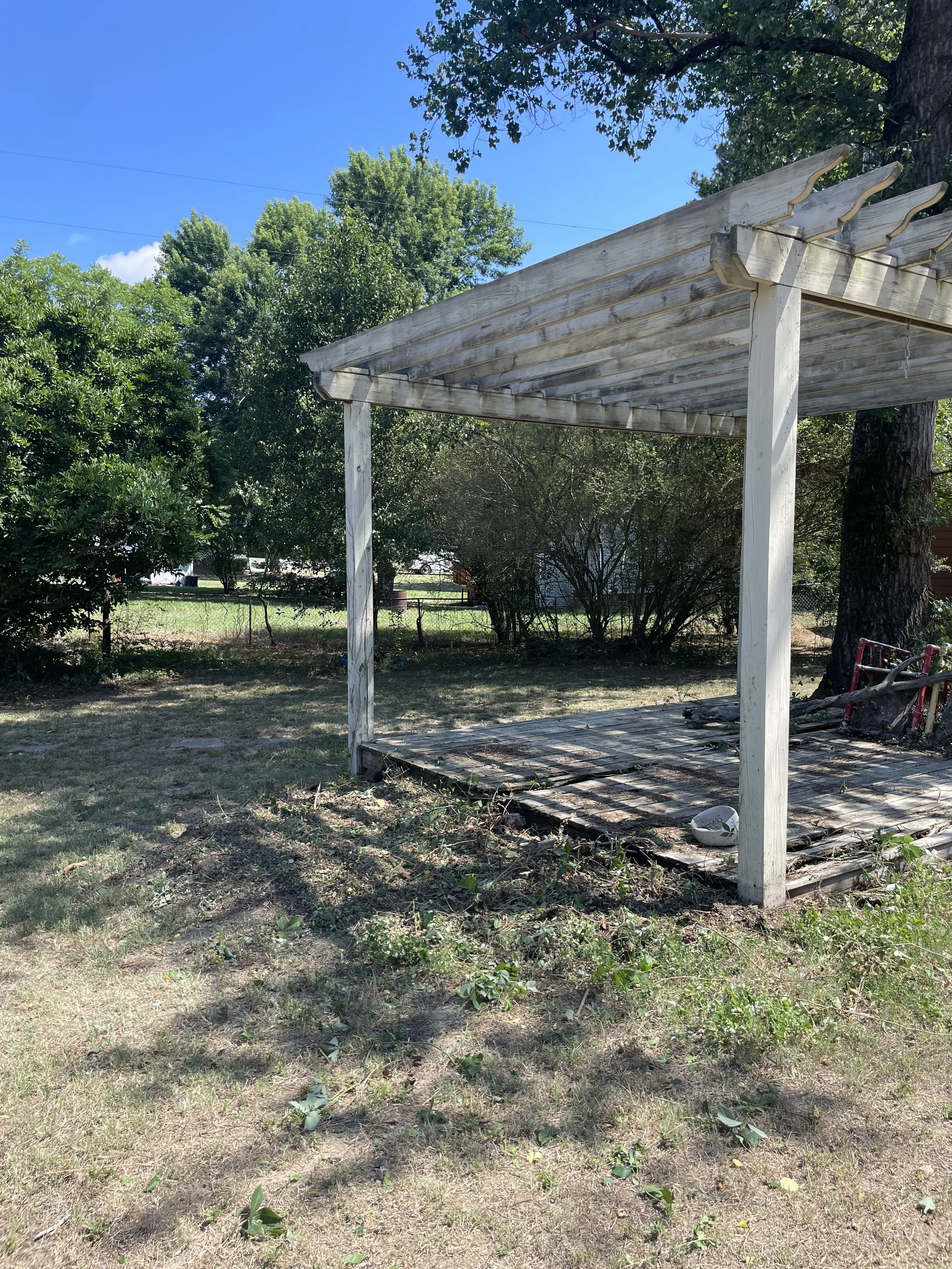 A backyard with an unfinished wooden pergola, surrounded by green trees and bushes, on a sunny day with a clear blue sky.