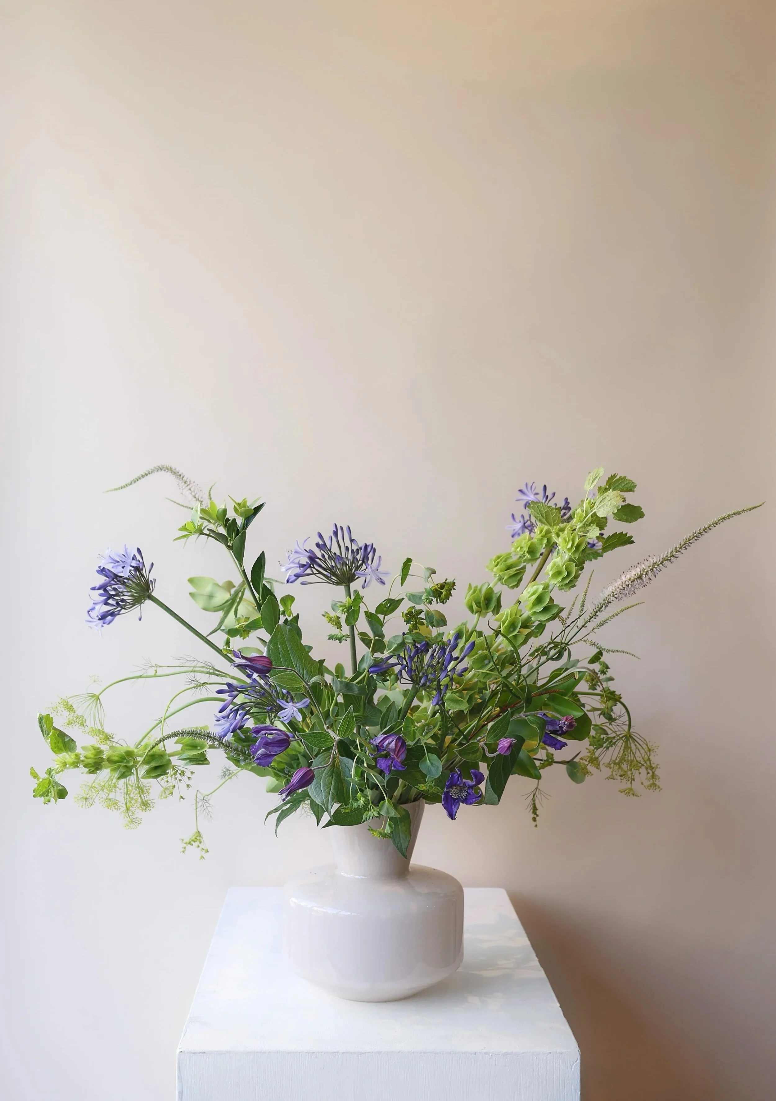 WILD BLUE