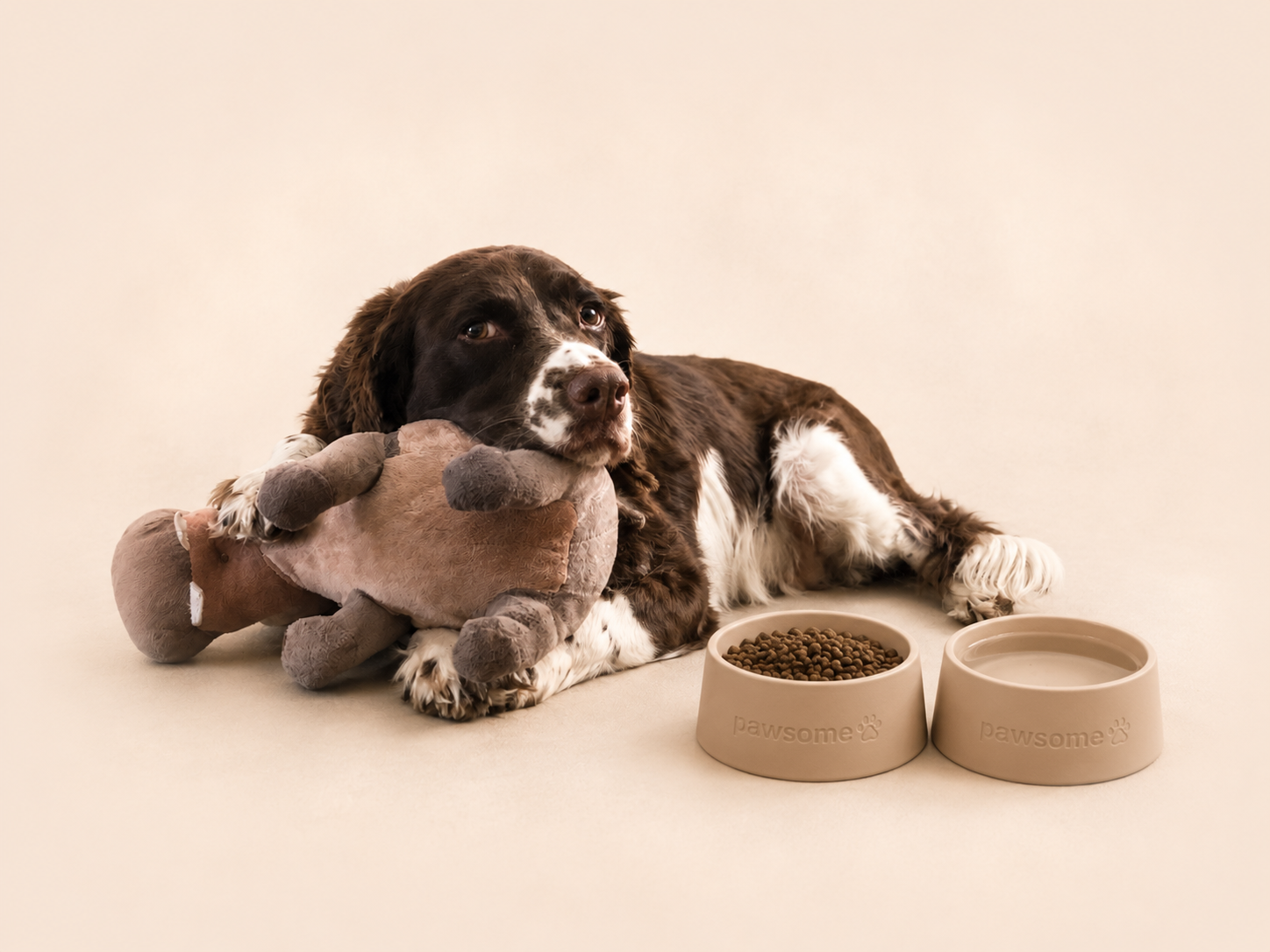 Comfort drop ins and tailored outdoor adventures in Ferndown, west moors - Dexter's Doggo Adventures