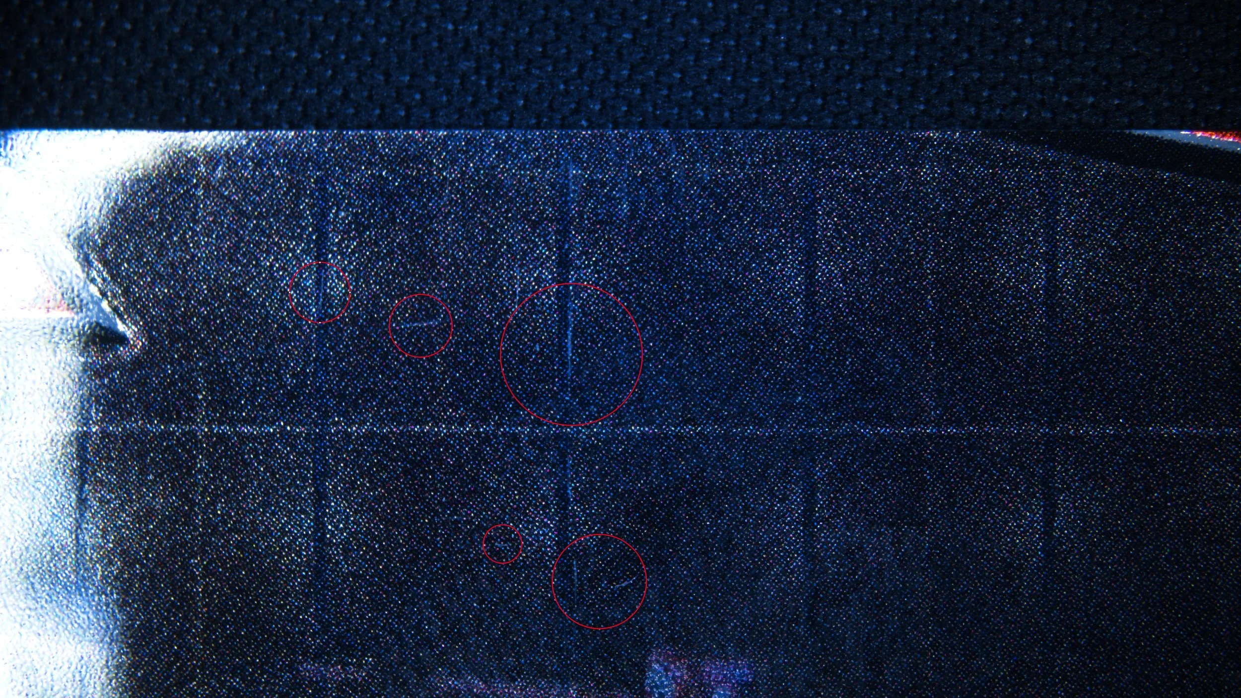 Ant 1-1.jpg