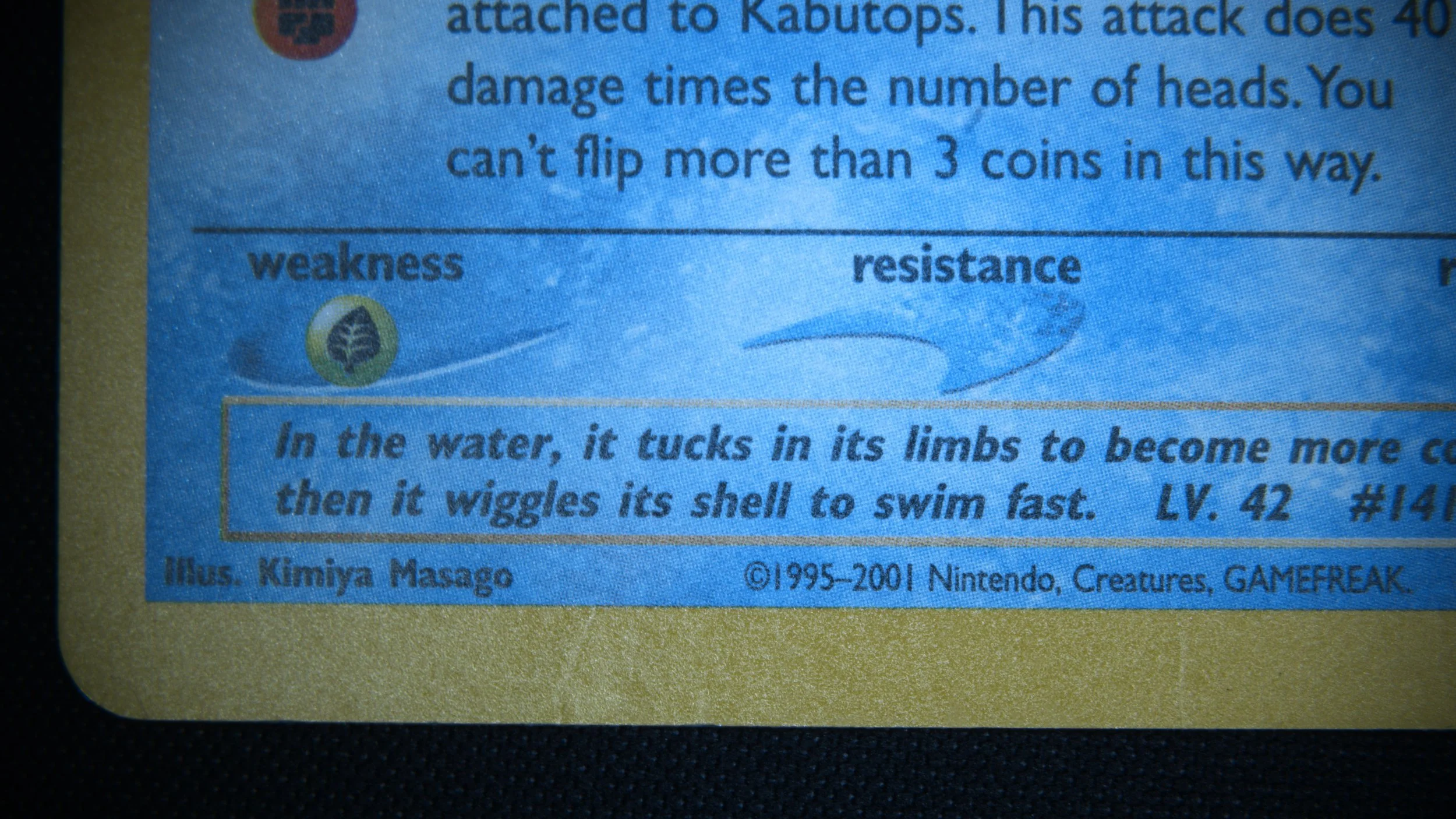 BLC.jpg