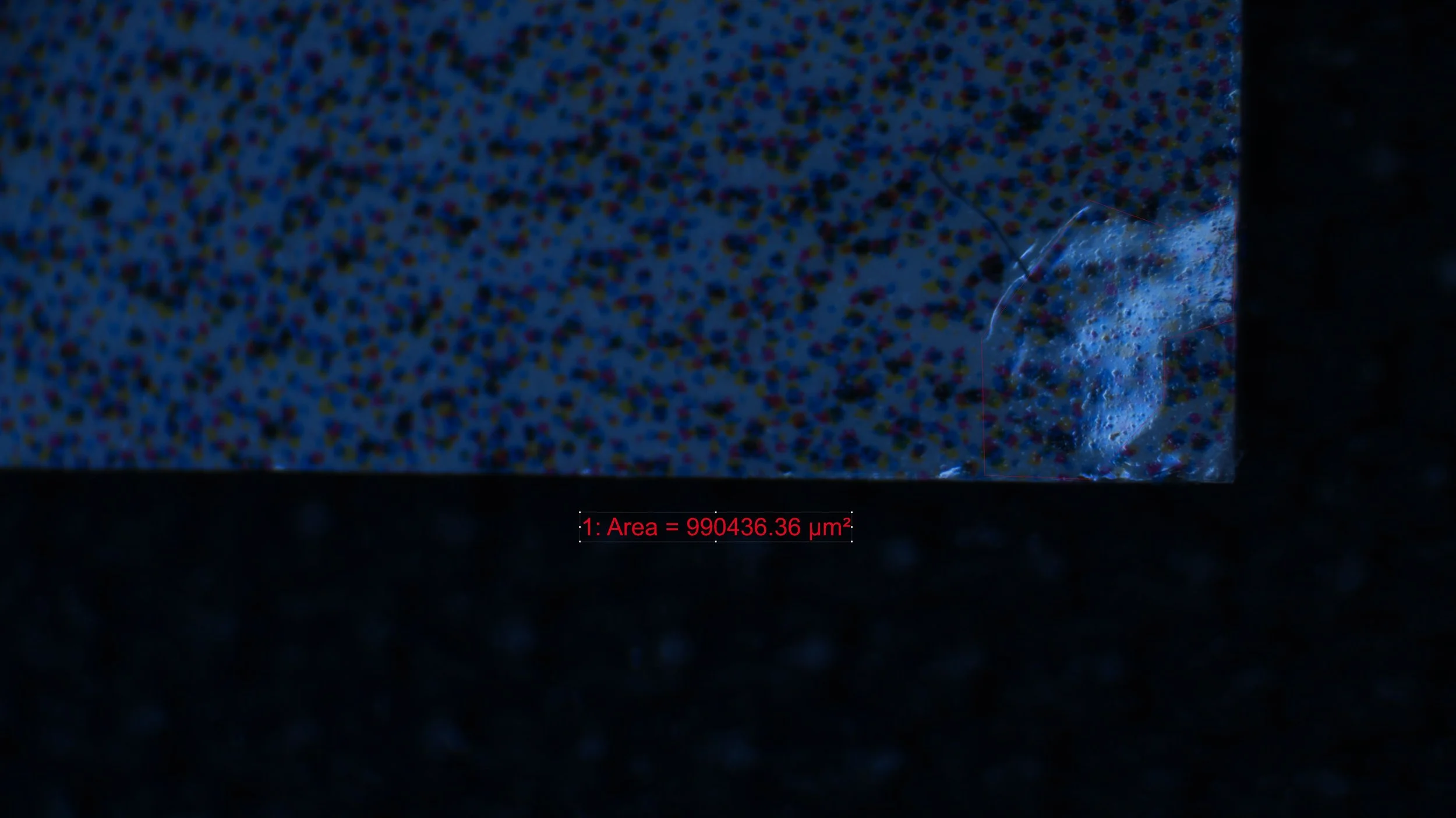 Back BRC.jpg