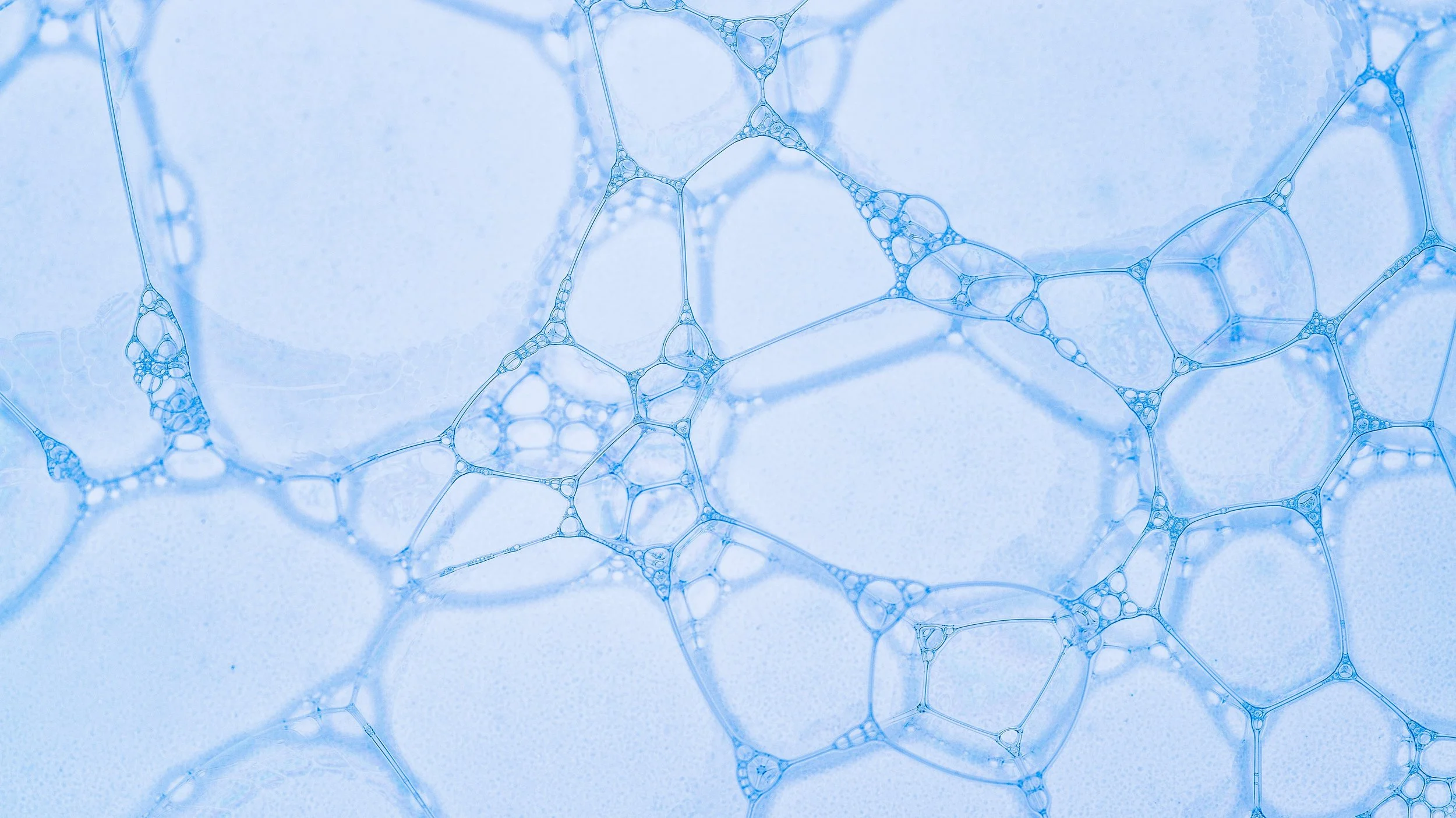 From Bench to Clinic: The Scientific Track Record Behind Adracco