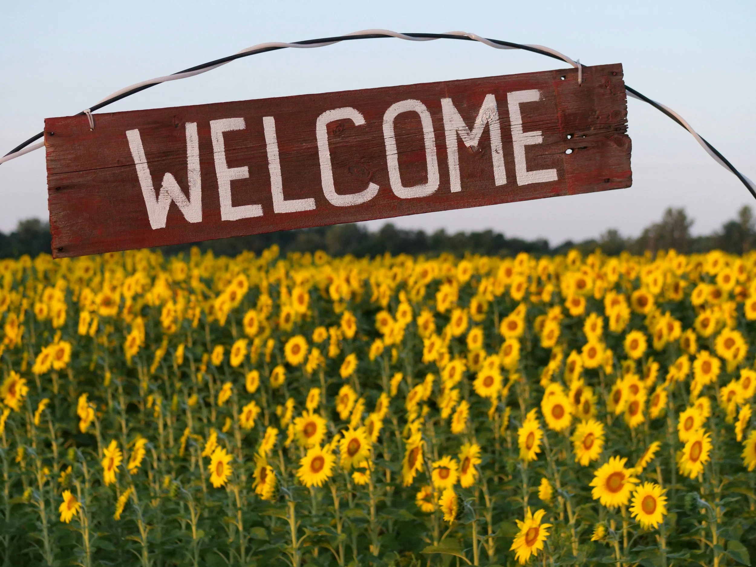 Welcome to Mariposa Integrative Psychiatry &amp; Wellness