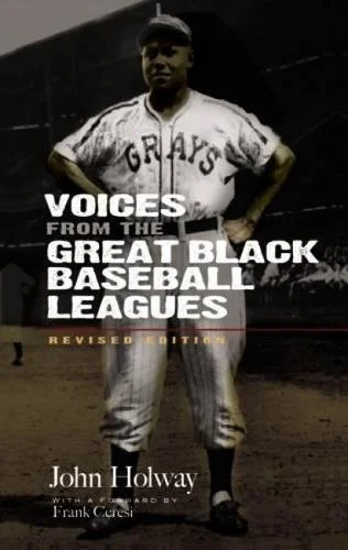 voice-from-great-black-baseball-leagues-book-cover.jpg