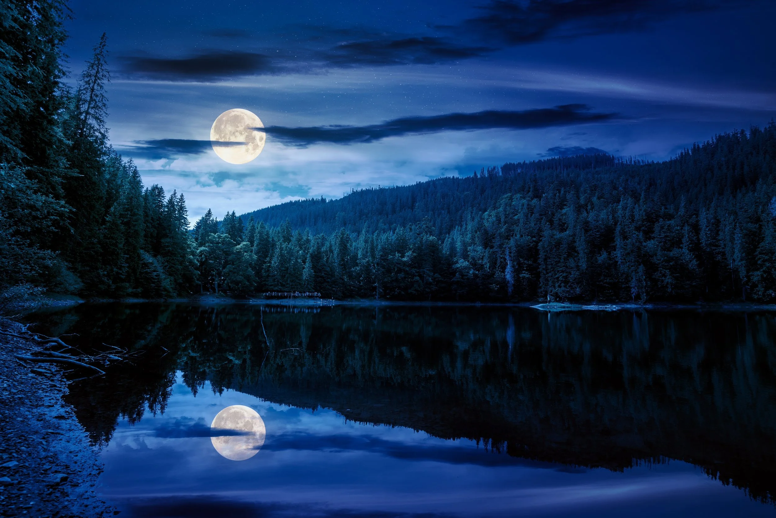 Chapter Twelve: Shadow River