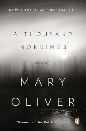 a-thousand-mornings-mary-oliver.webp